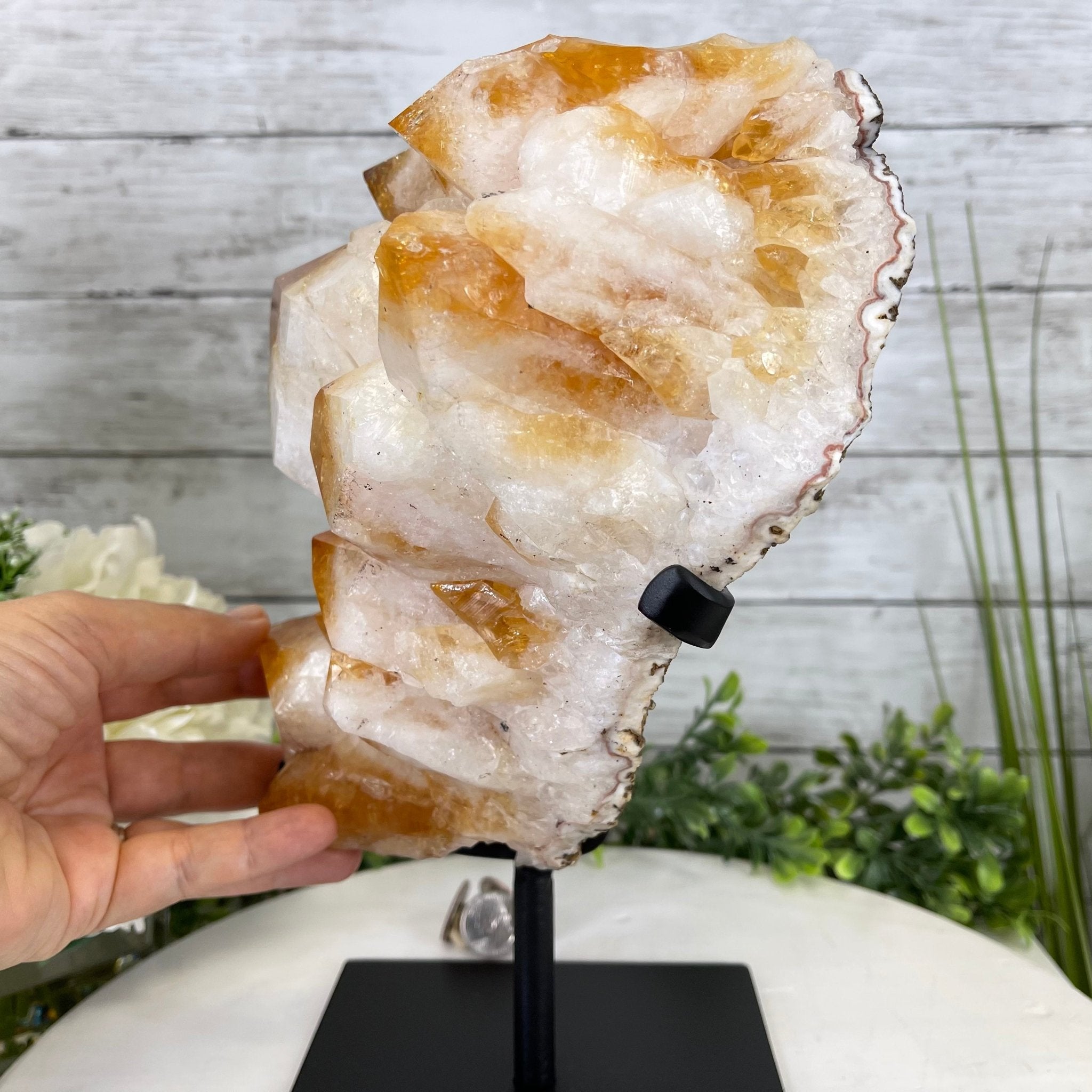 Brazilian Citrine Crystal Cluster, metal base, 17.4 lbs & 12" Tall Model #5496-0045 by Brazil Gems - Brazil GemsBrazil GemsBrazilian Citrine Crystal Cluster, metal base, 17.4 lbs & 12" Tall Model #5496-0045 by Brazil GemsClusters on Fixed Bases5496-0045