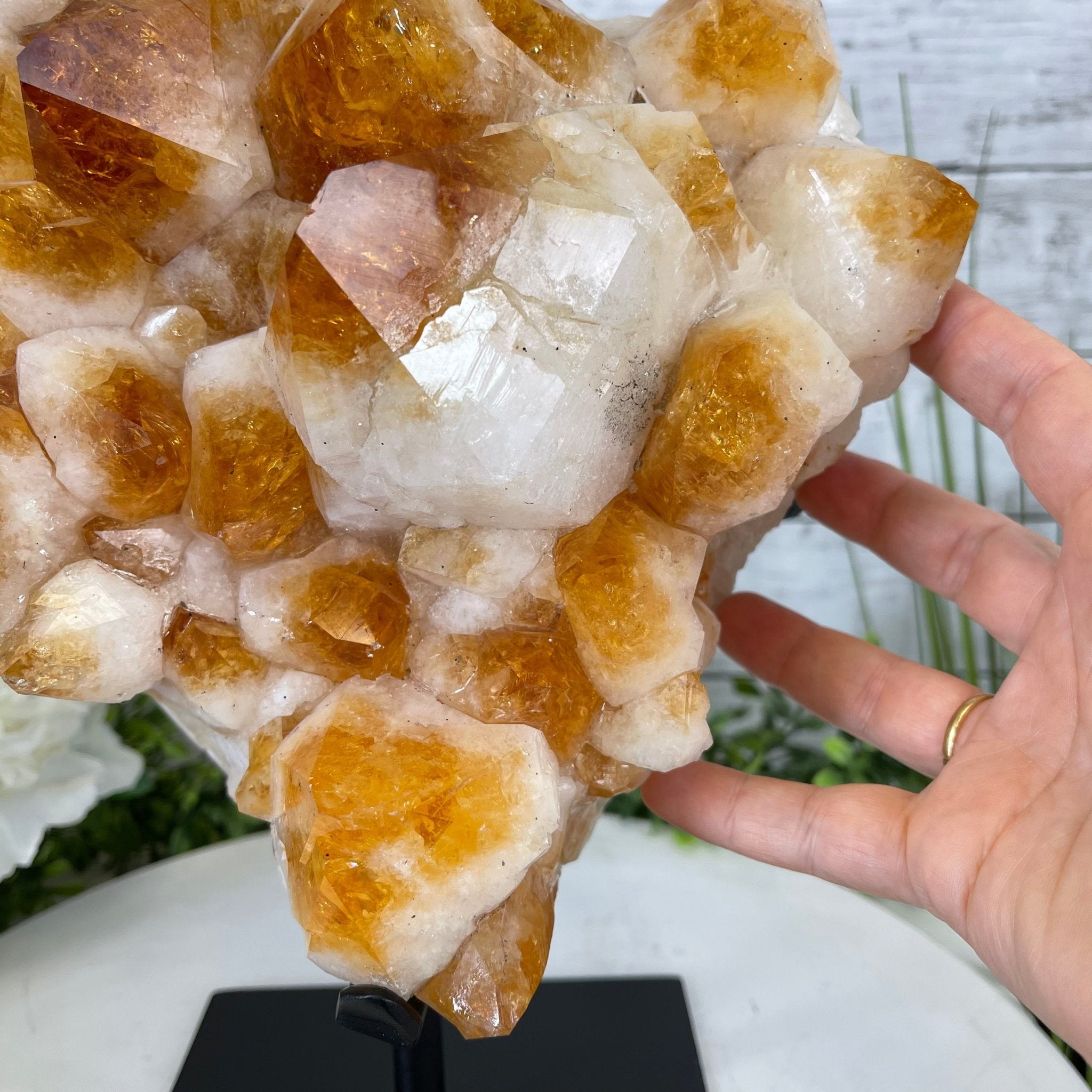 Brazilian Citrine Crystal Cluster, metal base, 17.4 lbs & 12" Tall Model #5496-0045 by Brazil Gems - Brazil GemsBrazil GemsBrazilian Citrine Crystal Cluster, metal base, 17.4 lbs & 12" Tall Model #5496-0045 by Brazil GemsClusters on Fixed Bases5496-0045