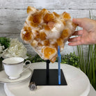 Brazilian Citrine Crystal Cluster, metal base, 17.4 lbs & 12" Tall Model #5496-0045 by Brazil Gems - Brazil GemsBrazil GemsBrazilian Citrine Crystal Cluster, metal base, 17.4 lbs & 12" Tall Model #5496-0045 by Brazil GemsClusters on Fixed Bases5496-0045