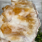 Brazilian Citrine Crystal Cluster, metal base, 17.4 lbs & 12" Tall Model #5496-0045 by Brazil Gems - Brazil GemsBrazil GemsBrazilian Citrine Crystal Cluster, metal base, 17.4 lbs & 12" Tall Model #5496-0045 by Brazil GemsClusters on Fixed Bases5496-0045