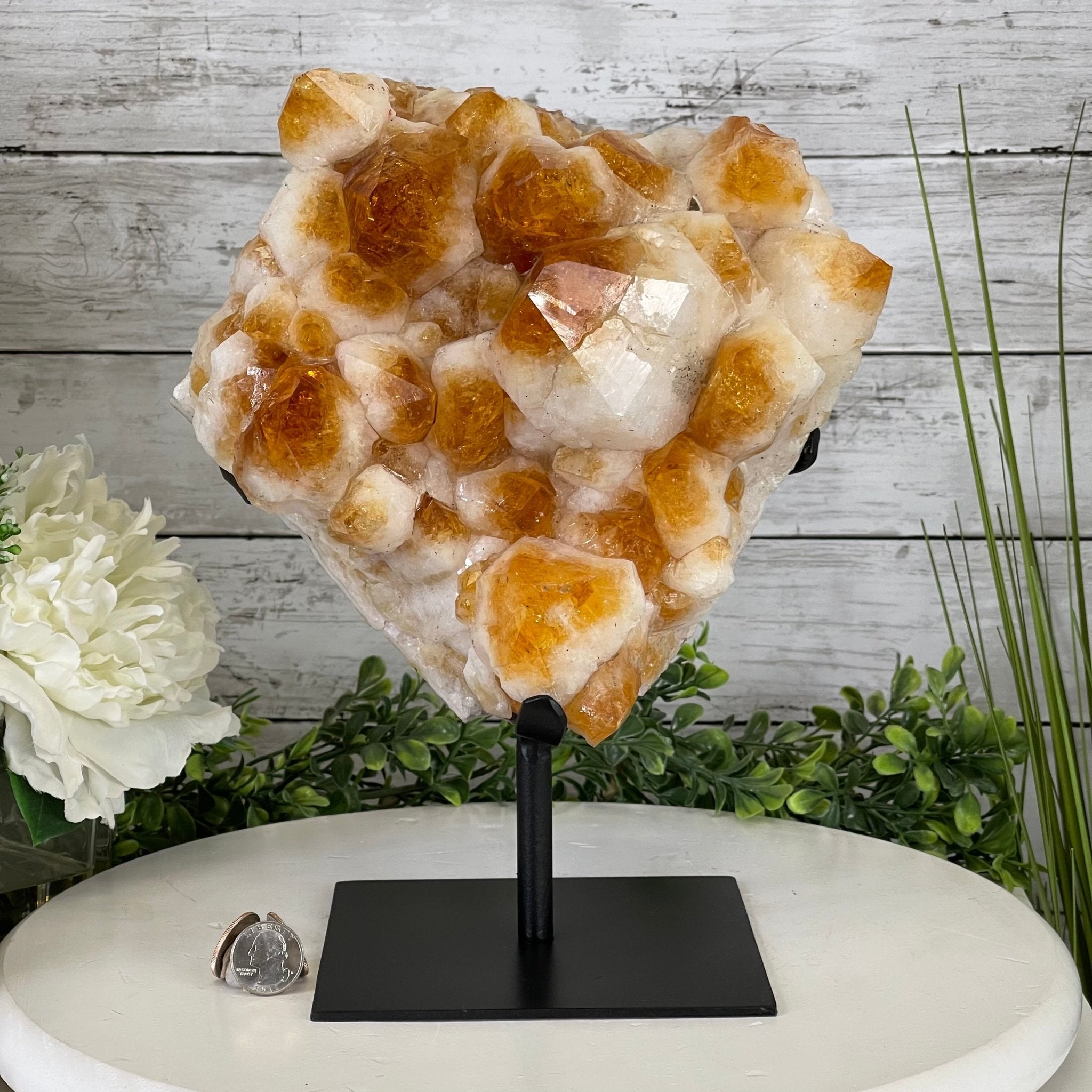 Brazilian Citrine Crystal Cluster, metal base, 17.4 lbs & 12" Tall Model #5496-0045 by Brazil Gems - Brazil GemsBrazil GemsBrazilian Citrine Crystal Cluster, metal base, 17.4 lbs & 12" Tall Model #5496-0045 by Brazil GemsClusters on Fixed Bases5496-0045