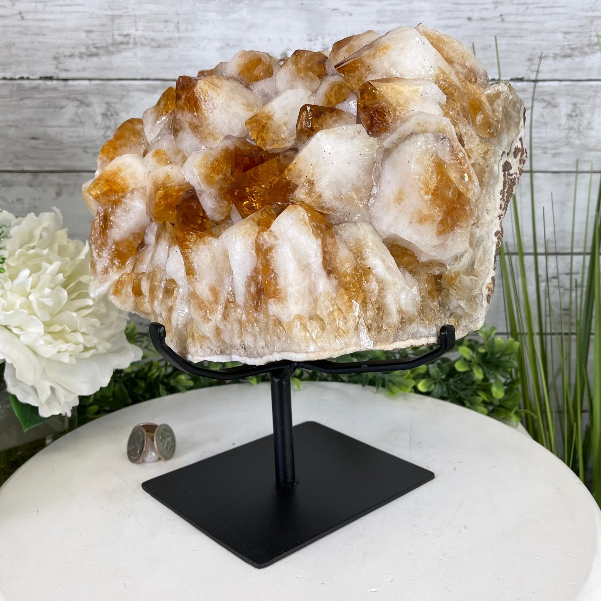 Brazilian Citrine Crystal Cluster, metal base, 21.6 lbs & 10.8" Tall Model #5496-0048 by Brazil Gems - Brazil GemsBrazil GemsBrazilian Citrine Crystal Cluster, metal base, 21.6 lbs & 10.8" Tall Model #5496-0048 by Brazil GemsClusters on Fixed Bases5496-0048