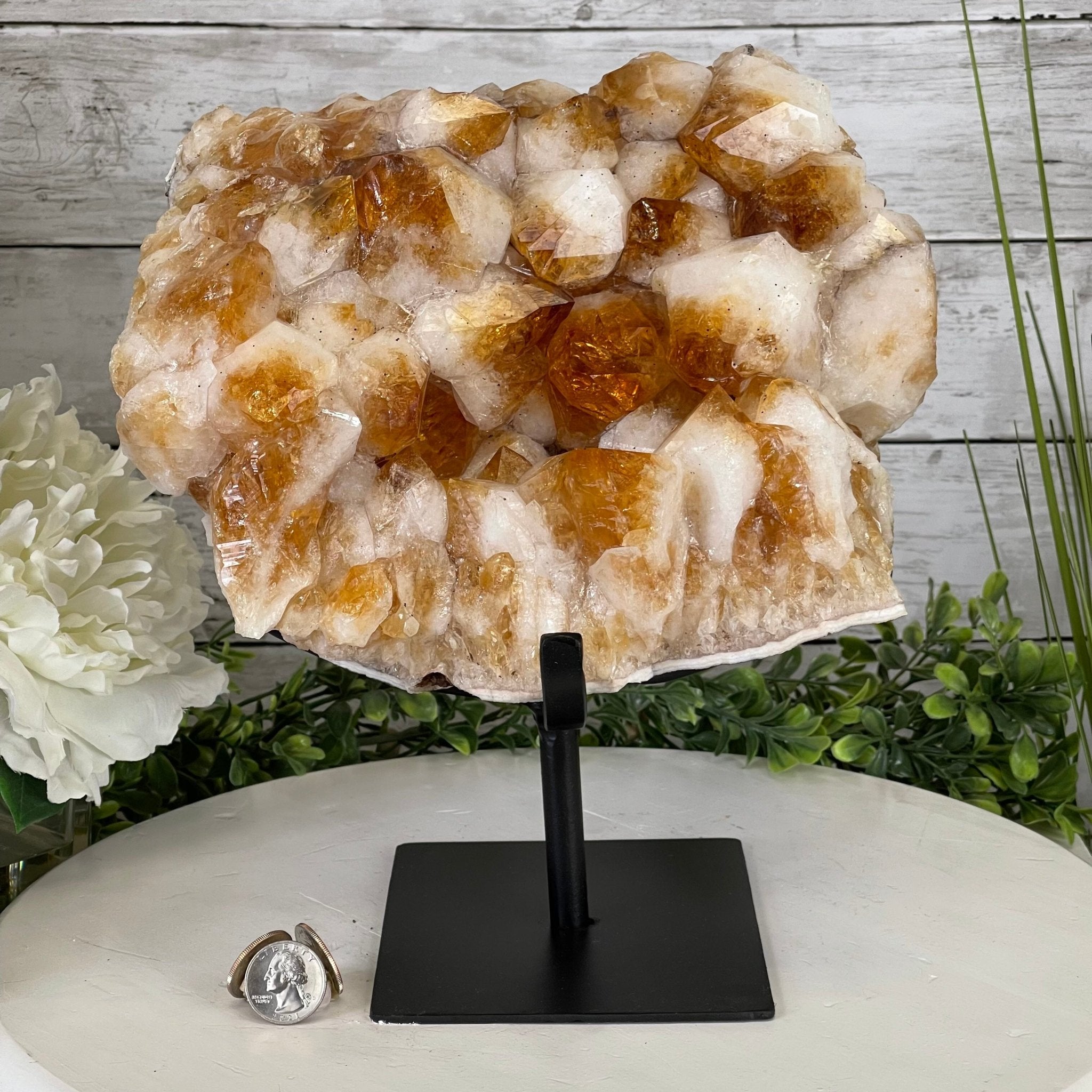 Brazilian Citrine Crystal Cluster, metal base, 21.6 lbs & 10.8" Tall Model #5496-0048 by Brazil Gems - Brazil GemsBrazil GemsBrazilian Citrine Crystal Cluster, metal base, 21.6 lbs & 10.8" Tall Model #5496-0048 by Brazil GemsClusters on Fixed Bases5496-0048