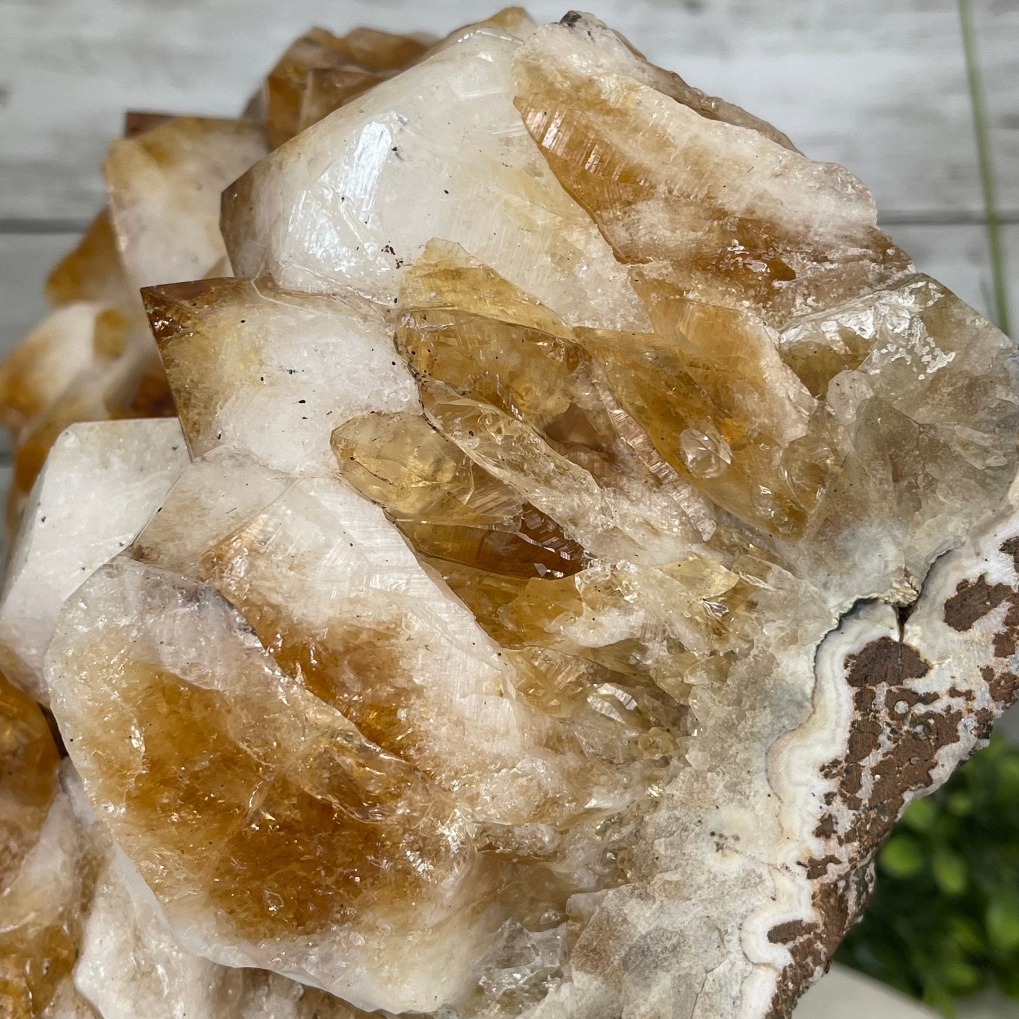 Brazilian Citrine Crystal Cluster, metal base, 21.6 lbs & 10.8" Tall Model #5496-0048 by Brazil Gems - Brazil GemsBrazil GemsBrazilian Citrine Crystal Cluster, metal base, 21.6 lbs & 10.8" Tall Model #5496-0048 by Brazil GemsClusters on Fixed Bases5496-0048