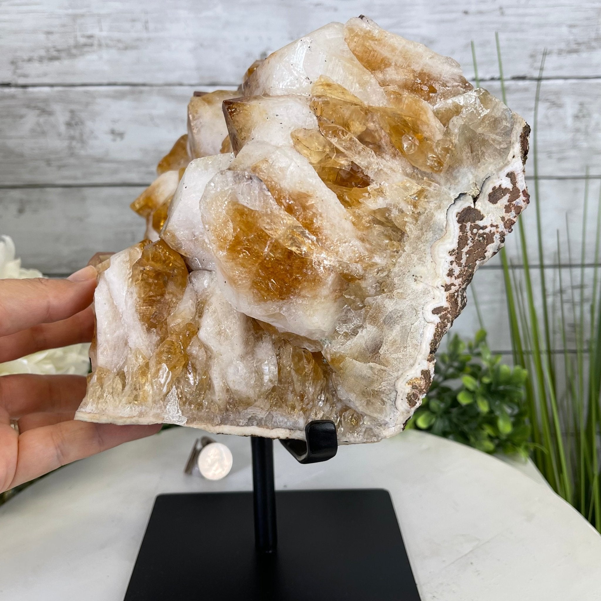 Brazilian Citrine Crystal Cluster, metal base, 21.6 lbs & 10.8" Tall Model #5496-0048 by Brazil Gems - Brazil GemsBrazil GemsBrazilian Citrine Crystal Cluster, metal base, 21.6 lbs & 10.8" Tall Model #5496-0048 by Brazil GemsClusters on Fixed Bases5496-0048