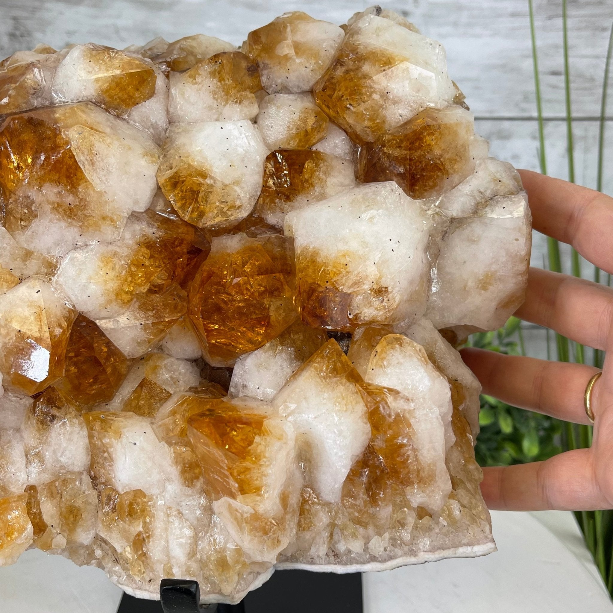 Brazilian Citrine Crystal Cluster, metal base, 21.6 lbs & 10.8" Tall Model #5496-0048 by Brazil Gems - Brazil GemsBrazil GemsBrazilian Citrine Crystal Cluster, metal base, 21.6 lbs & 10.8" Tall Model #5496-0048 by Brazil GemsClusters on Fixed Bases5496-0048