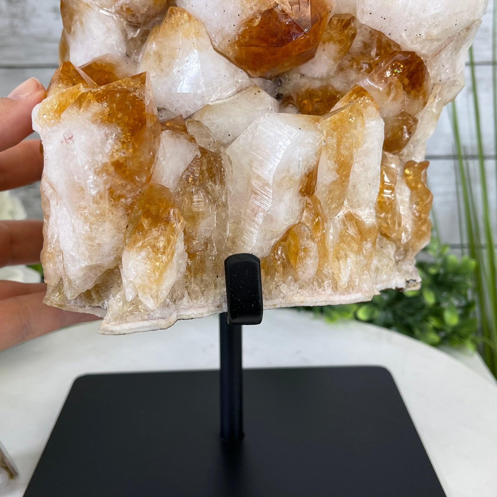 Brazilian Citrine Crystal Cluster, metal base, 21.8 lbs & 13" Tall Model #5496-0049 by Brazil Gems - Brazil GemsBrazil GemsBrazilian Citrine Crystal Cluster, metal base, 21.8 lbs & 13" Tall Model #5496-0049 by Brazil GemsClusters on Fixed Bases5496-0049