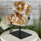 Brazilian Citrine Crystal Cluster, metal base, 21.8 lbs & 13" Tall Model #5496-0049 by Brazil Gems - Brazil GemsBrazil GemsBrazilian Citrine Crystal Cluster, metal base, 21.8 lbs & 13" Tall Model #5496-0049 by Brazil GemsClusters on Fixed Bases5496-0049