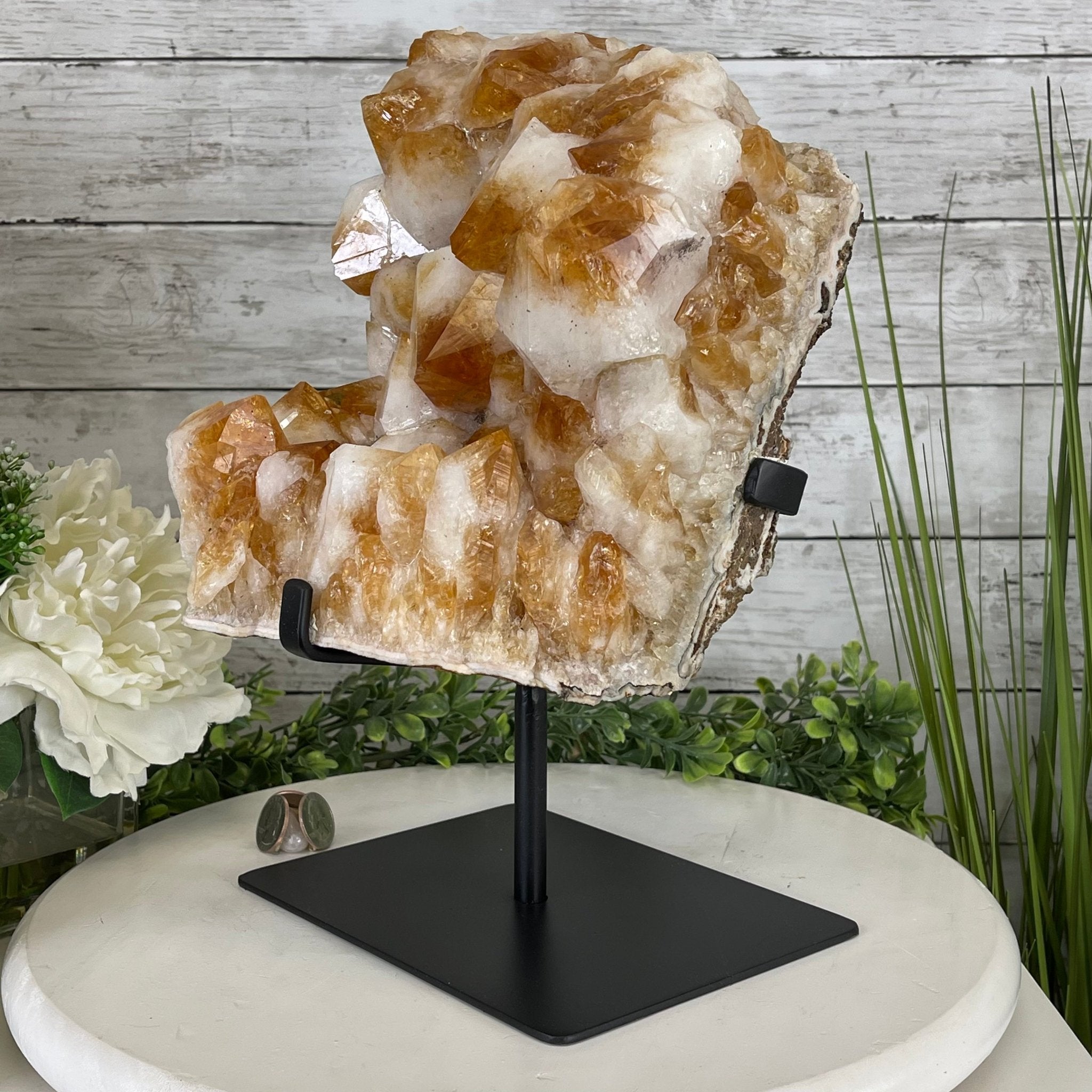Brazilian Citrine Crystal Cluster, metal base, 21.8 lbs & 13" Tall Model #5496-0049 by Brazil Gems - Brazil GemsBrazil GemsBrazilian Citrine Crystal Cluster, metal base, 21.8 lbs & 13" Tall Model #5496-0049 by Brazil GemsClusters on Fixed Bases5496-0049