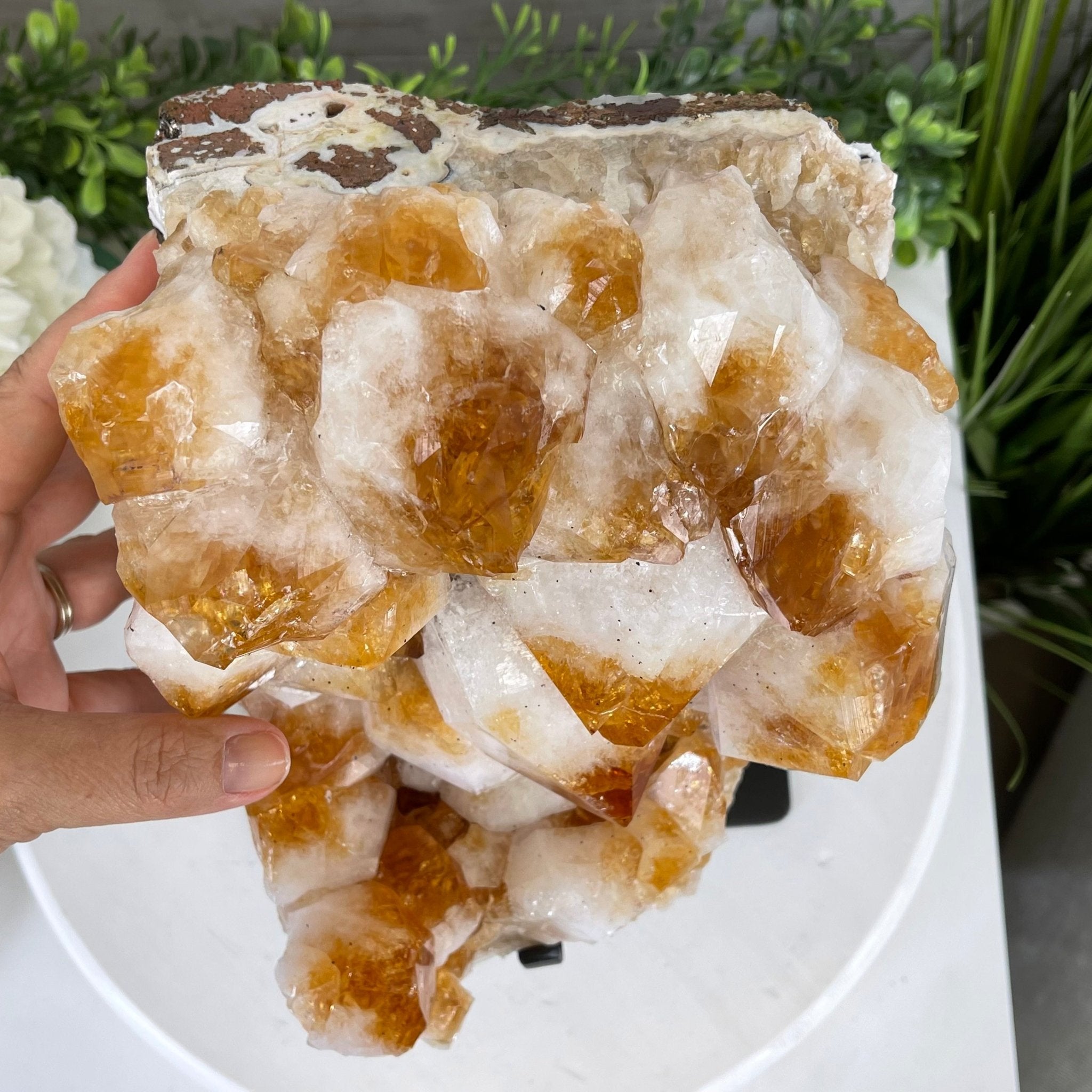 Brazilian Citrine Crystal Cluster, metal base, 21.8 lbs & 13" Tall Model #5496-0049 by Brazil Gems - Brazil GemsBrazil GemsBrazilian Citrine Crystal Cluster, metal base, 21.8 lbs & 13" Tall Model #5496-0049 by Brazil GemsClusters on Fixed Bases5496-0049