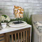 Brazilian Citrine Crystal Cluster, metal base, 21.8 lbs & 13" Tall Model #5496-0049 by Brazil Gems - Brazil GemsBrazil GemsBrazilian Citrine Crystal Cluster, metal base, 21.8 lbs & 13" Tall Model #5496-0049 by Brazil GemsClusters on Fixed Bases5496-0049