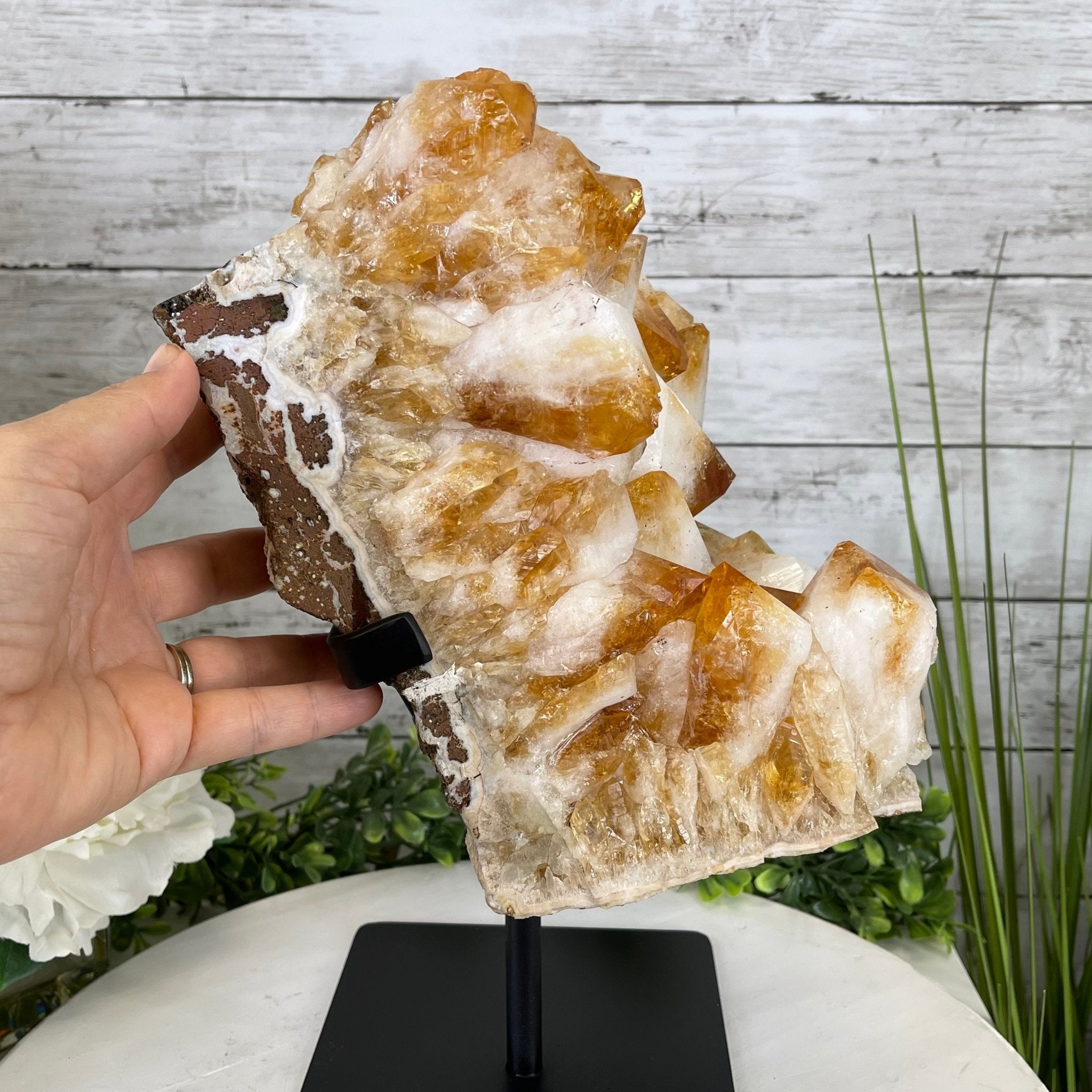 Brazilian Citrine Crystal Cluster, metal base, 21.8 lbs & 13" Tall Model #5496-0049 by Brazil Gems - Brazil GemsBrazil GemsBrazilian Citrine Crystal Cluster, metal base, 21.8 lbs & 13" Tall Model #5496-0049 by Brazil GemsClusters on Fixed Bases5496-0049