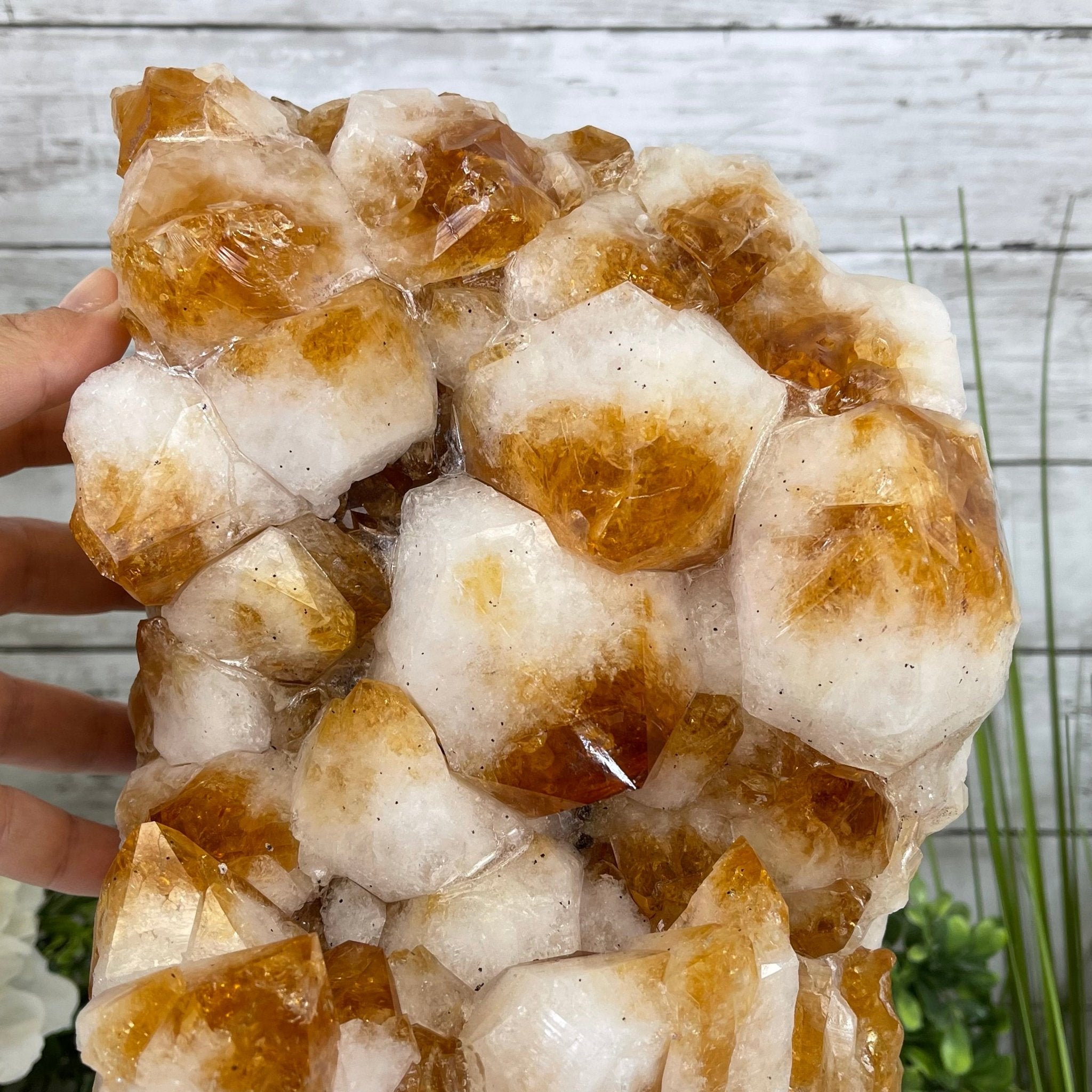 Brazilian Citrine Crystal Cluster, metal base, 21.8 lbs & 13" Tall Model #5496-0049 by Brazil Gems - Brazil GemsBrazil GemsBrazilian Citrine Crystal Cluster, metal base, 21.8 lbs & 13" Tall Model #5496-0049 by Brazil GemsClusters on Fixed Bases5496-0049