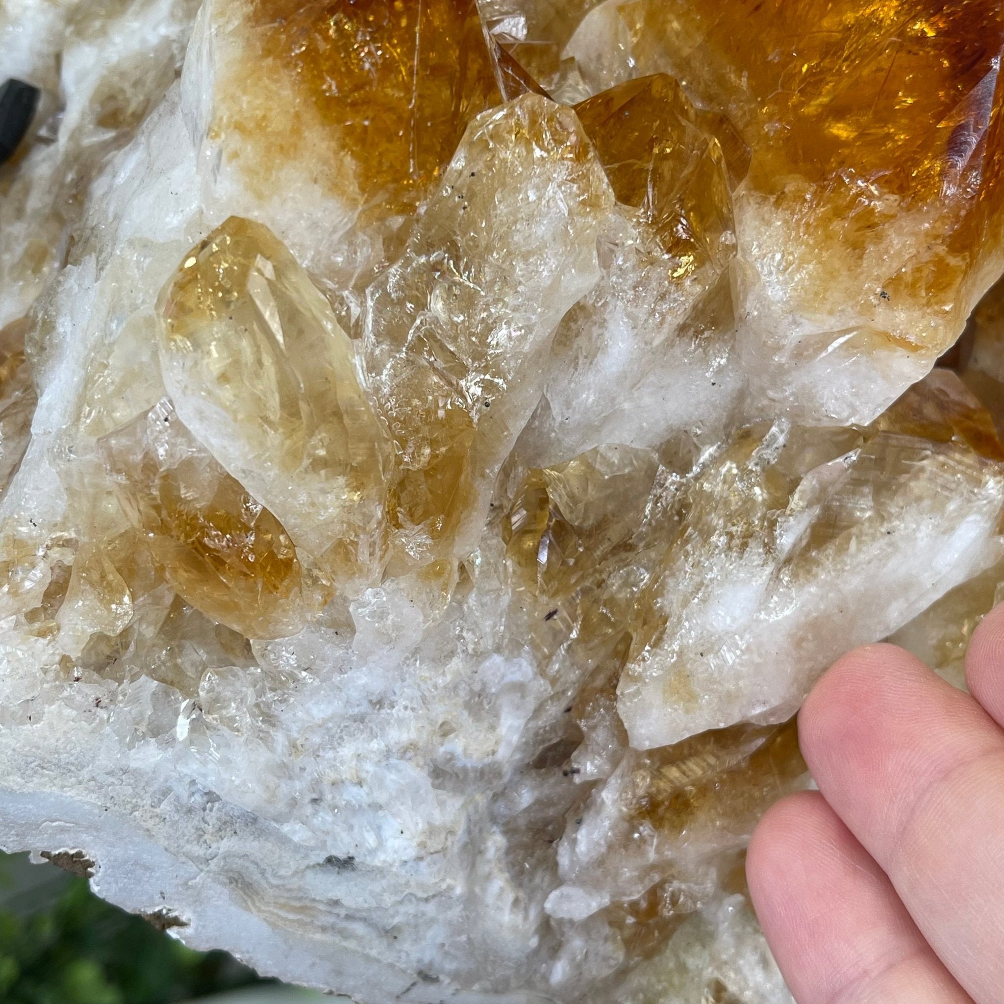 Brazilian Citrine Crystal Cluster, metal base, 26.2 lbs & 16.5" Tall Model #5496-0050 by Brazil Gems - Brazil GemsBrazil GemsBrazilian Citrine Crystal Cluster, metal base, 26.2 lbs & 16.5" Tall Model #5496-0050 by Brazil GemsClusters on Fixed Bases5496-0050