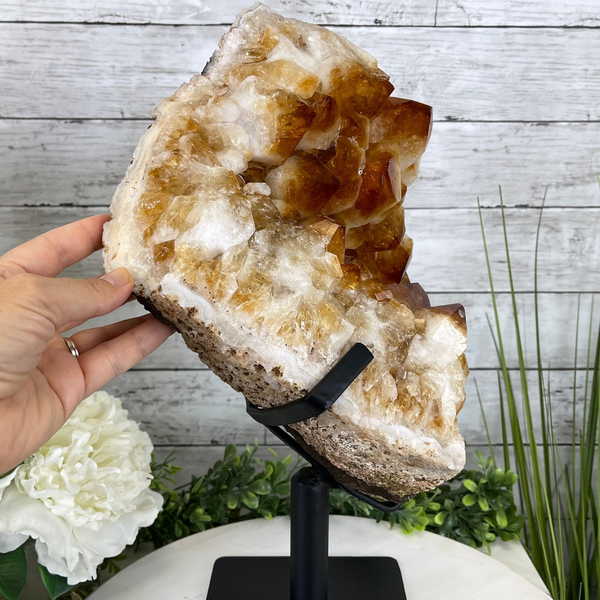 Brazilian Citrine Crystal Cluster, metal base, 26.2 lbs & 16.5" Tall Model #5496-0050 by Brazil Gems - Brazil GemsBrazil GemsBrazilian Citrine Crystal Cluster, metal base, 26.2 lbs & 16.5" Tall Model #5496-0050 by Brazil GemsClusters on Fixed Bases5496-0050