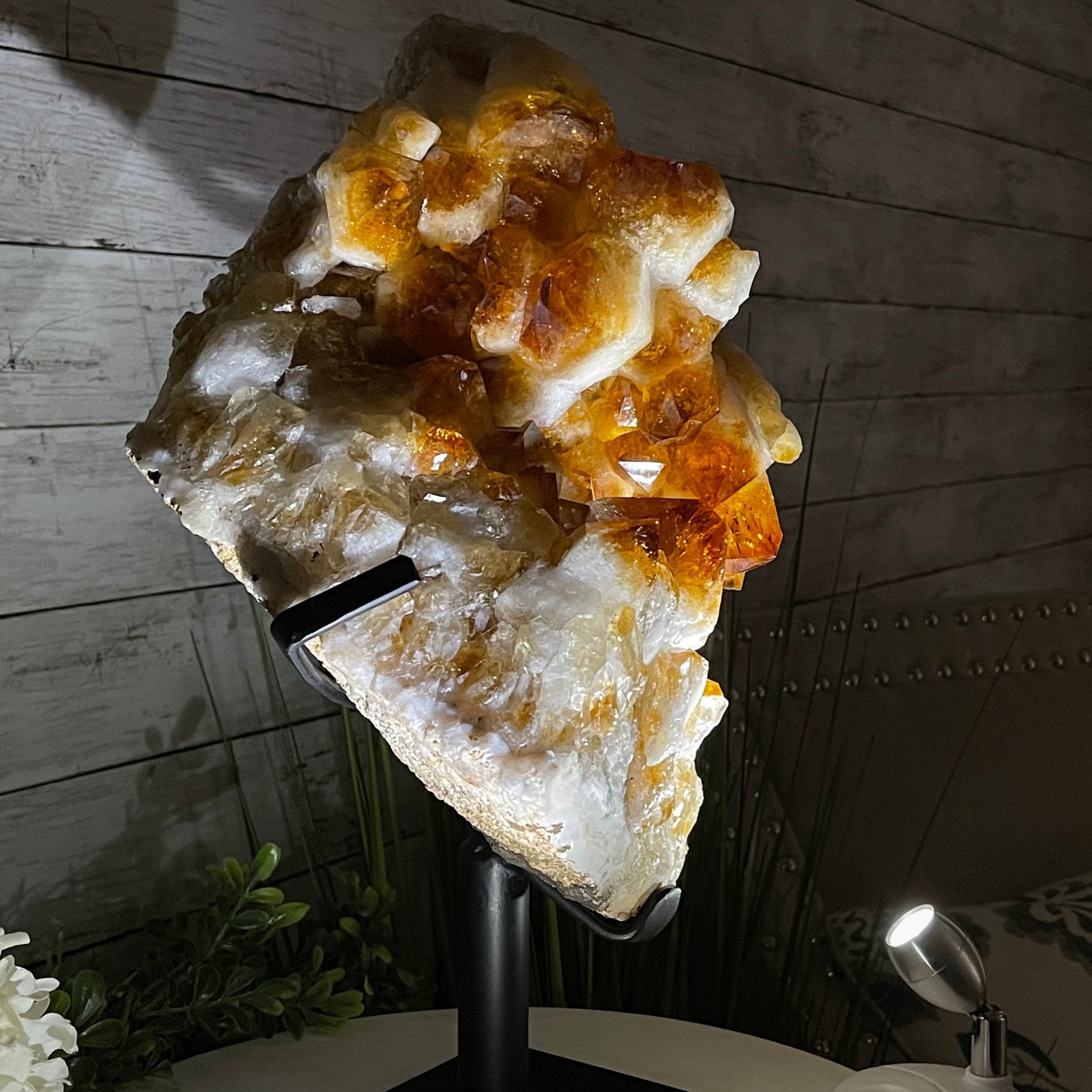 Brazilian Citrine Crystal Cluster, metal base, 26.2 lbs & 16.5" Tall Model #5496-0050 by Brazil Gems - Brazil GemsBrazil GemsBrazilian Citrine Crystal Cluster, metal base, 26.2 lbs & 16.5" Tall Model #5496-0050 by Brazil GemsClusters on Fixed Bases5496-0050