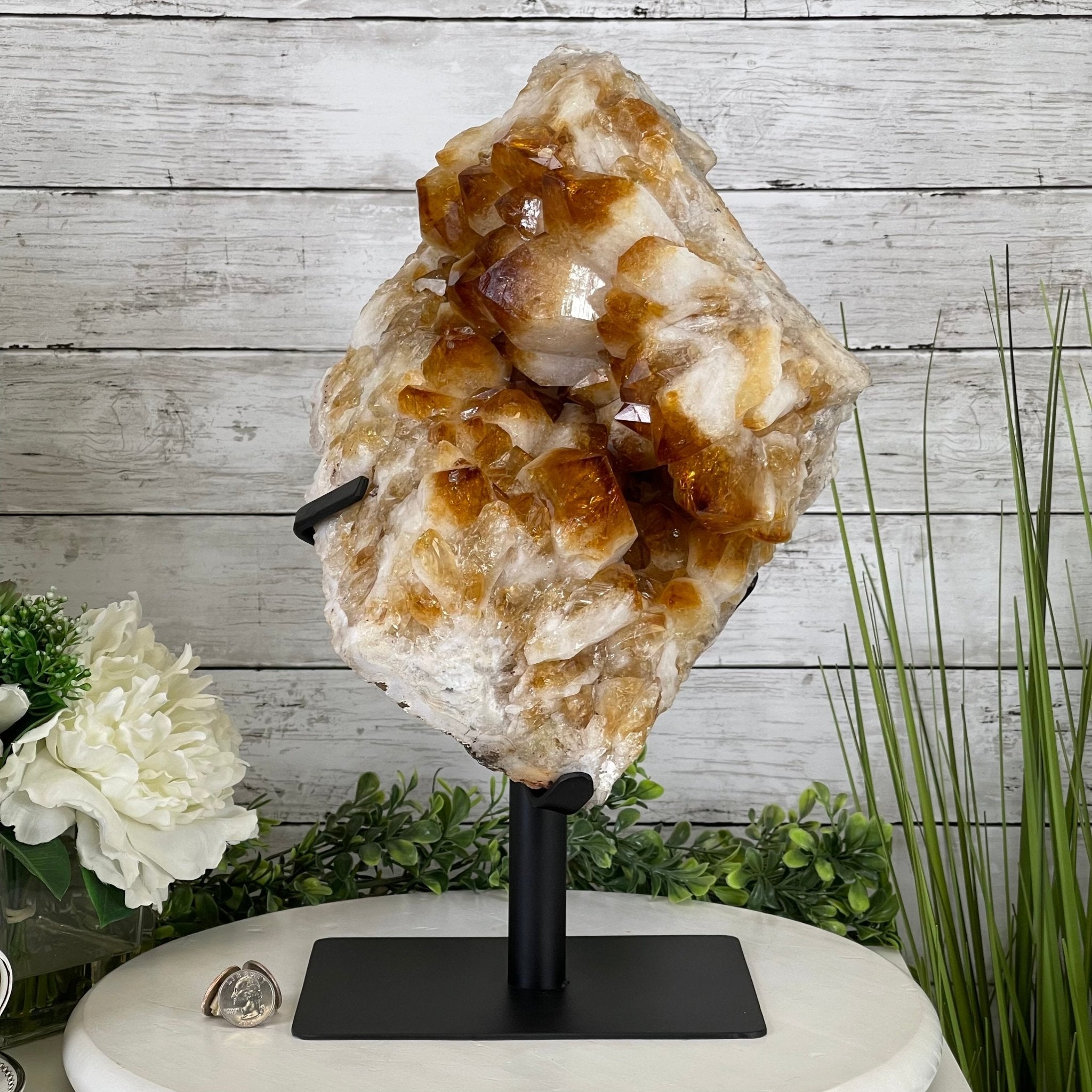 Brazilian Citrine Crystal Cluster, metal base, 26.2 lbs & 16.5" Tall Model #5496-0050 by Brazil Gems - Brazil GemsBrazil GemsBrazilian Citrine Crystal Cluster, metal base, 26.2 lbs & 16.5" Tall Model #5496-0050 by Brazil GemsClusters on Fixed Bases5496-0050