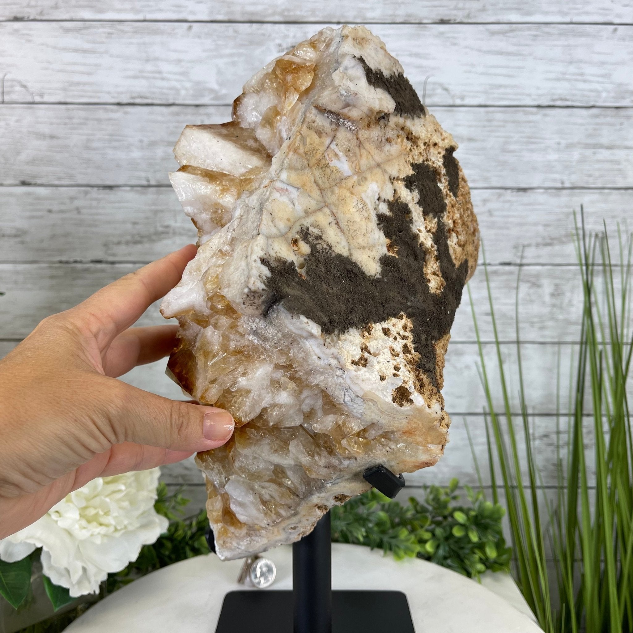 Brazilian Citrine Crystal Cluster, metal base, 26.2 lbs & 16.5" Tall Model #5496-0050 by Brazil Gems - Brazil GemsBrazil GemsBrazilian Citrine Crystal Cluster, metal base, 26.2 lbs & 16.5" Tall Model #5496-0050 by Brazil GemsClusters on Fixed Bases5496-0050