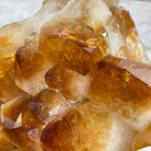 Brazilian Citrine Crystal Cluster, metal base, 26.2 lbs & 16.5" Tall Model #5496-0050 by Brazil Gems - Brazil GemsBrazil GemsBrazilian Citrine Crystal Cluster, metal base, 26.2 lbs & 16.5" Tall Model #5496-0050 by Brazil GemsClusters on Fixed Bases5496-0050