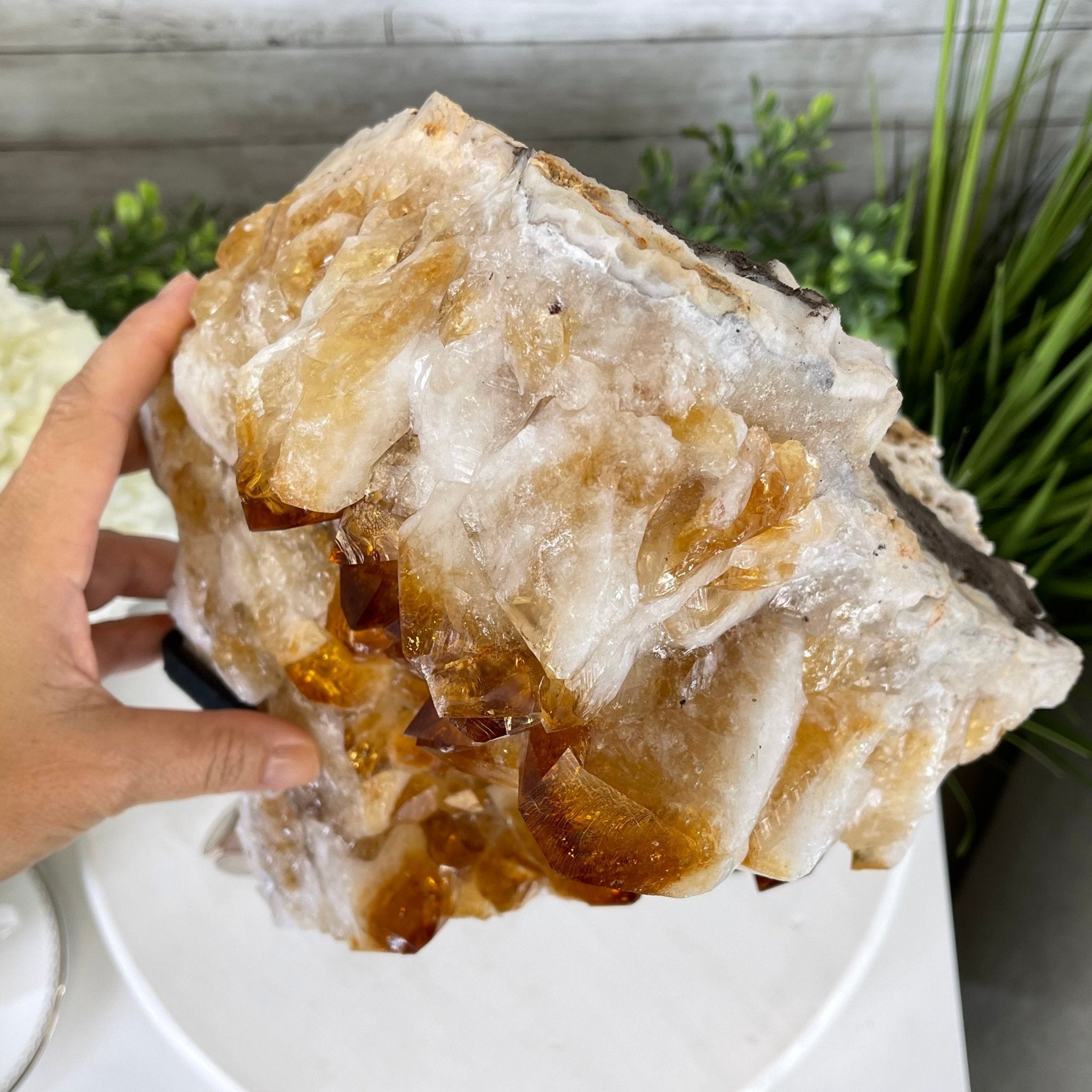 Brazilian Citrine Crystal Cluster, metal base, 26.2 lbs & 16.5" Tall Model #5496-0050 by Brazil Gems - Brazil GemsBrazil GemsBrazilian Citrine Crystal Cluster, metal base, 26.2 lbs & 16.5" Tall Model #5496-0050 by Brazil GemsClusters on Fixed Bases5496-0050