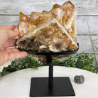 Brazilian Citrine Crystal Cluster, metal base, 7.3 lbs & 9.25" Tall Model #5496-0014 by Brazil Gems - Brazil GemsBrazil GemsBrazilian Citrine Crystal Cluster, metal base, 7.3 lbs & 9.25" Tall Model #5496-0014 by Brazil GemsClusters on Fixed Bases5496-0014