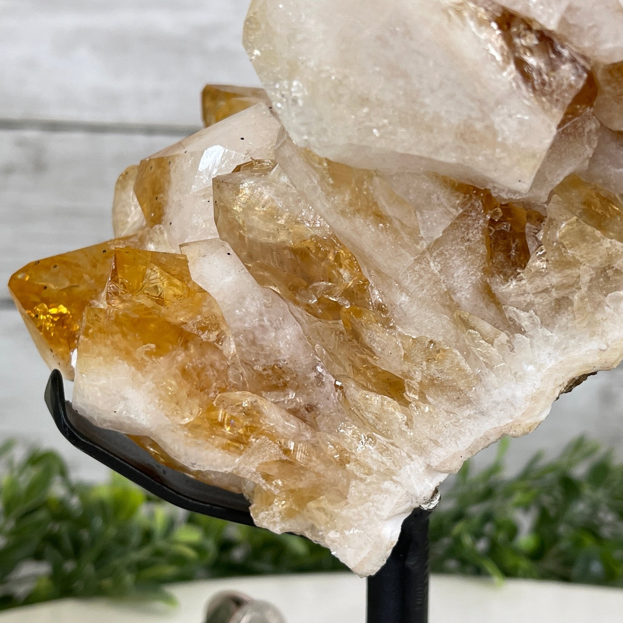 Brazilian Citrine Crystal Cluster, metal base, 7.3 lbs & 9.25" Tall Model #5496-0014 by Brazil Gems - Brazil GemsBrazil GemsBrazilian Citrine Crystal Cluster, metal base, 7.3 lbs & 9.25" Tall Model #5496-0014 by Brazil GemsClusters on Fixed Bases5496-0014