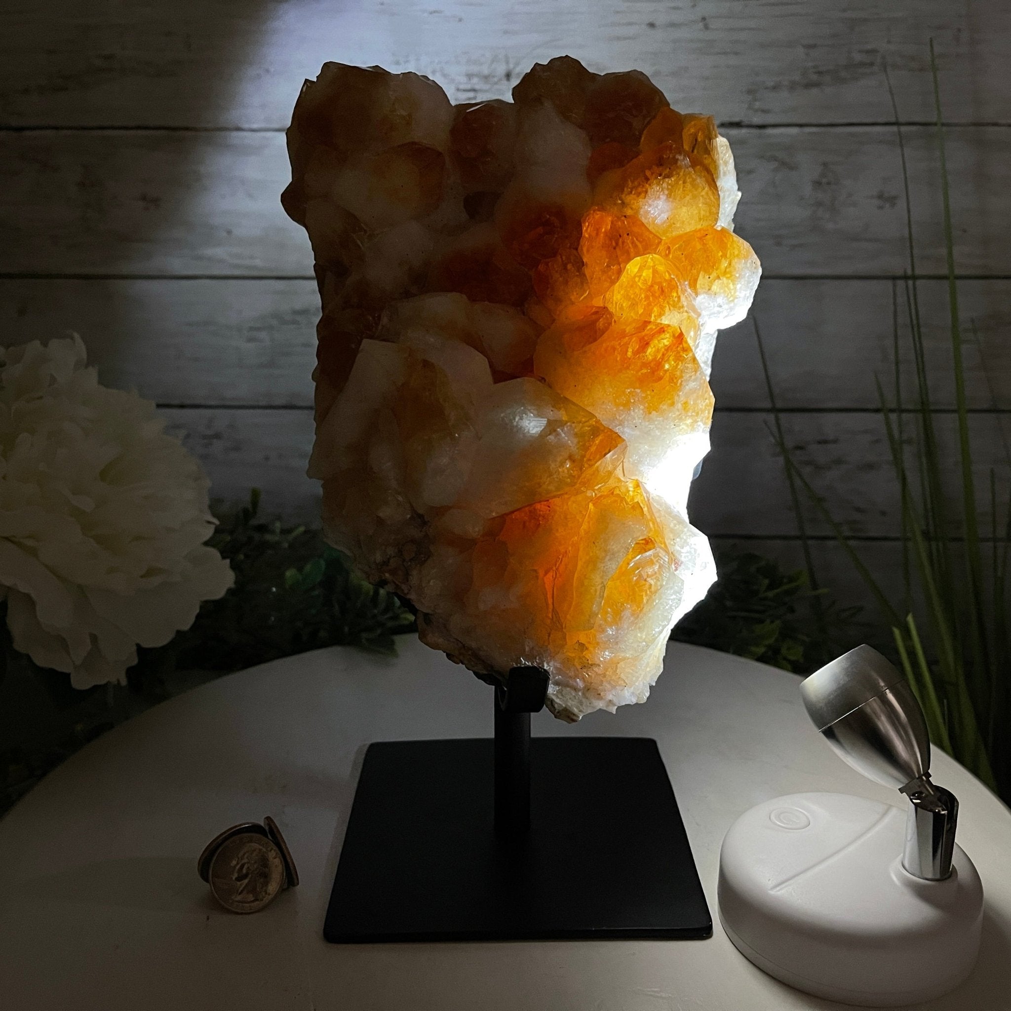 Brazilian Citrine Crystal Cluster, metal base, 9.3 lbs & 10.5" Tall Model #5496-0022 by Brazil Gems - Brazil GemsBrazil GemsBrazilian Citrine Crystal Cluster, metal base, 9.3 lbs & 10.5" Tall Model #5496-0022 by Brazil GemsClusters on Fixed Bases5496-0022