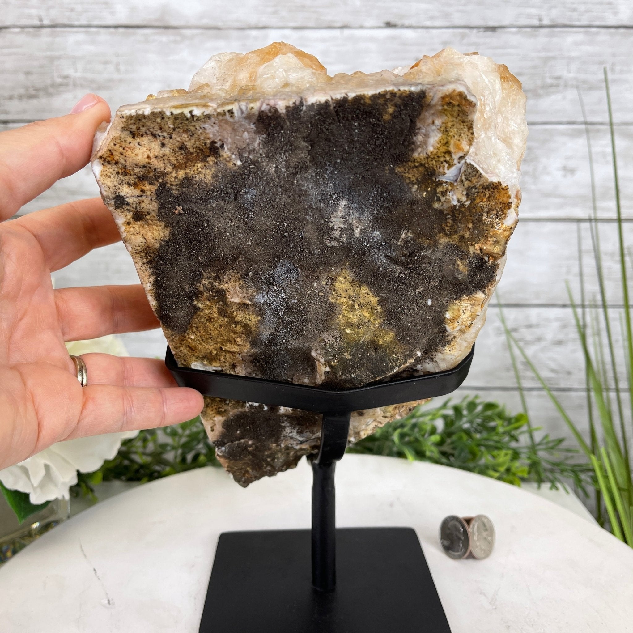 Brazilian Citrine Crystal Cluster, metal base, 9.3 lbs & 10.5" Tall Model #5496-0022 by Brazil Gems - Brazil GemsBrazil GemsBrazilian Citrine Crystal Cluster, metal base, 9.3 lbs & 10.5" Tall Model #5496-0022 by Brazil GemsClusters on Fixed Bases5496-0022
