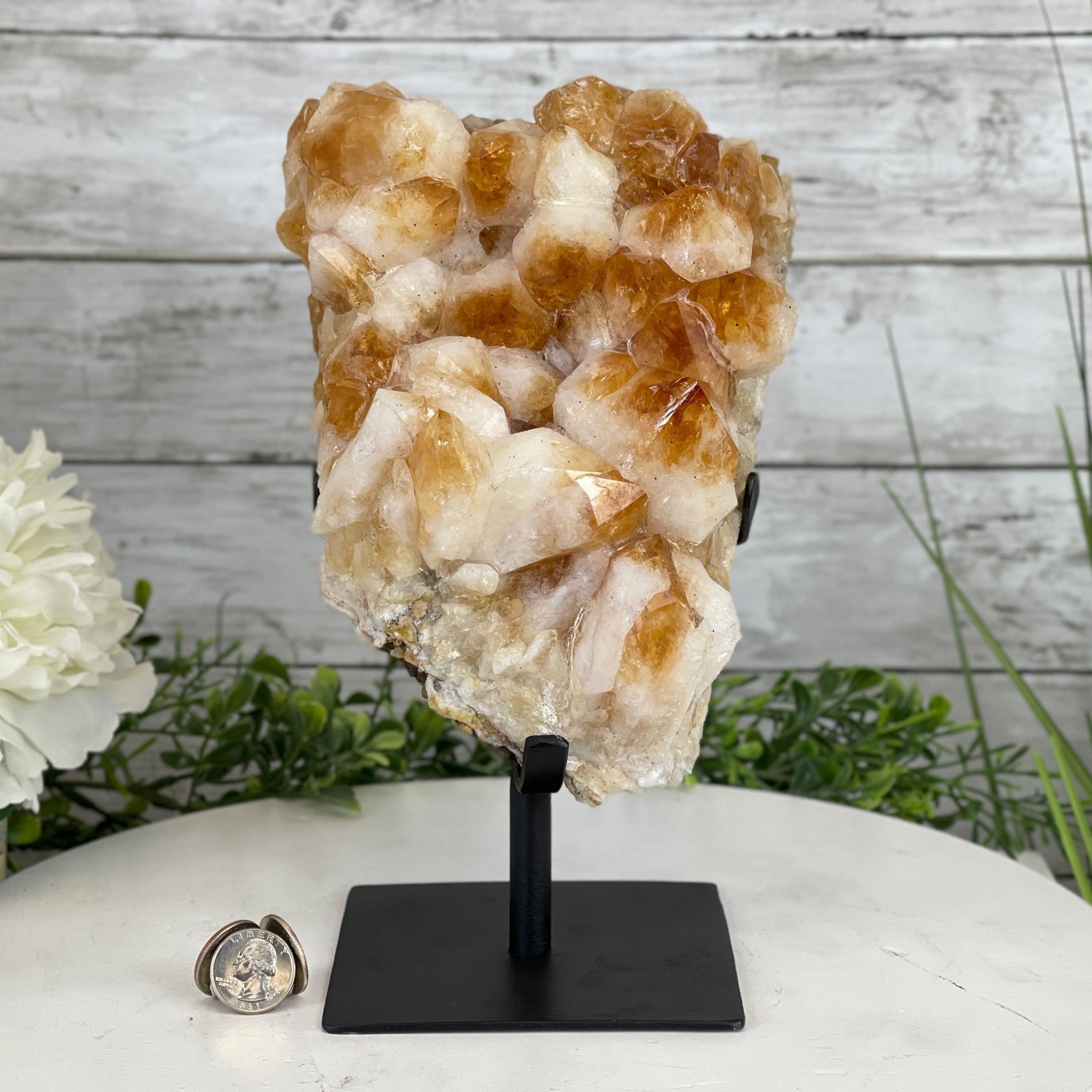 Brazilian Citrine Crystal Cluster, metal base, 9.3 lbs & 10.5" Tall Model #5496-0022 by Brazil Gems - Brazil GemsBrazil GemsBrazilian Citrine Crystal Cluster, metal base, 9.3 lbs & 10.5" Tall Model #5496-0022 by Brazil GemsClusters on Fixed Bases5496-0022
