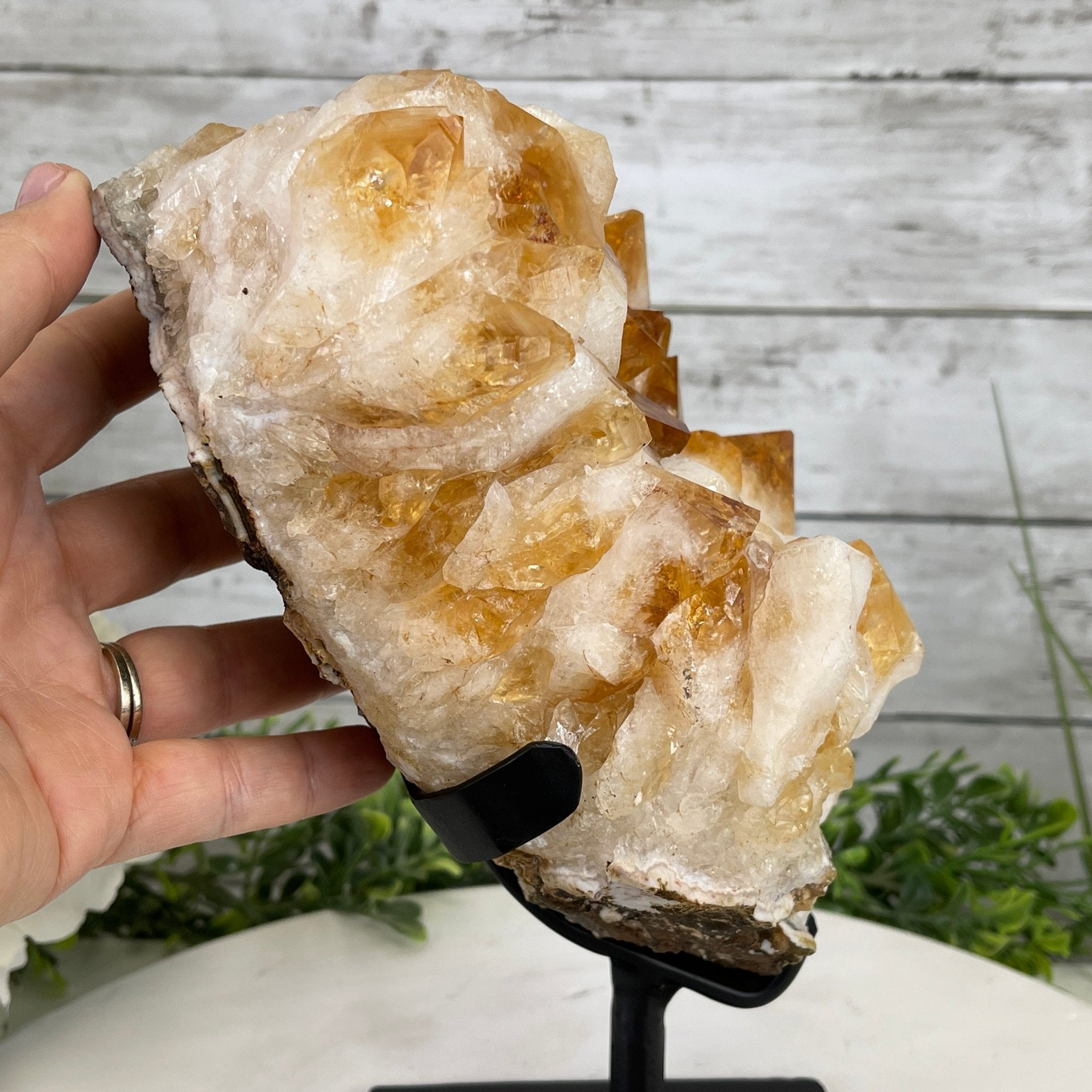 Brazilian Citrine Crystal Cluster, metal base, 9.3 lbs & 10.5" Tall Model #5496-0022 by Brazil Gems - Brazil GemsBrazil GemsBrazilian Citrine Crystal Cluster, metal base, 9.3 lbs & 10.5" Tall Model #5496-0022 by Brazil GemsClusters on Fixed Bases5496-0022