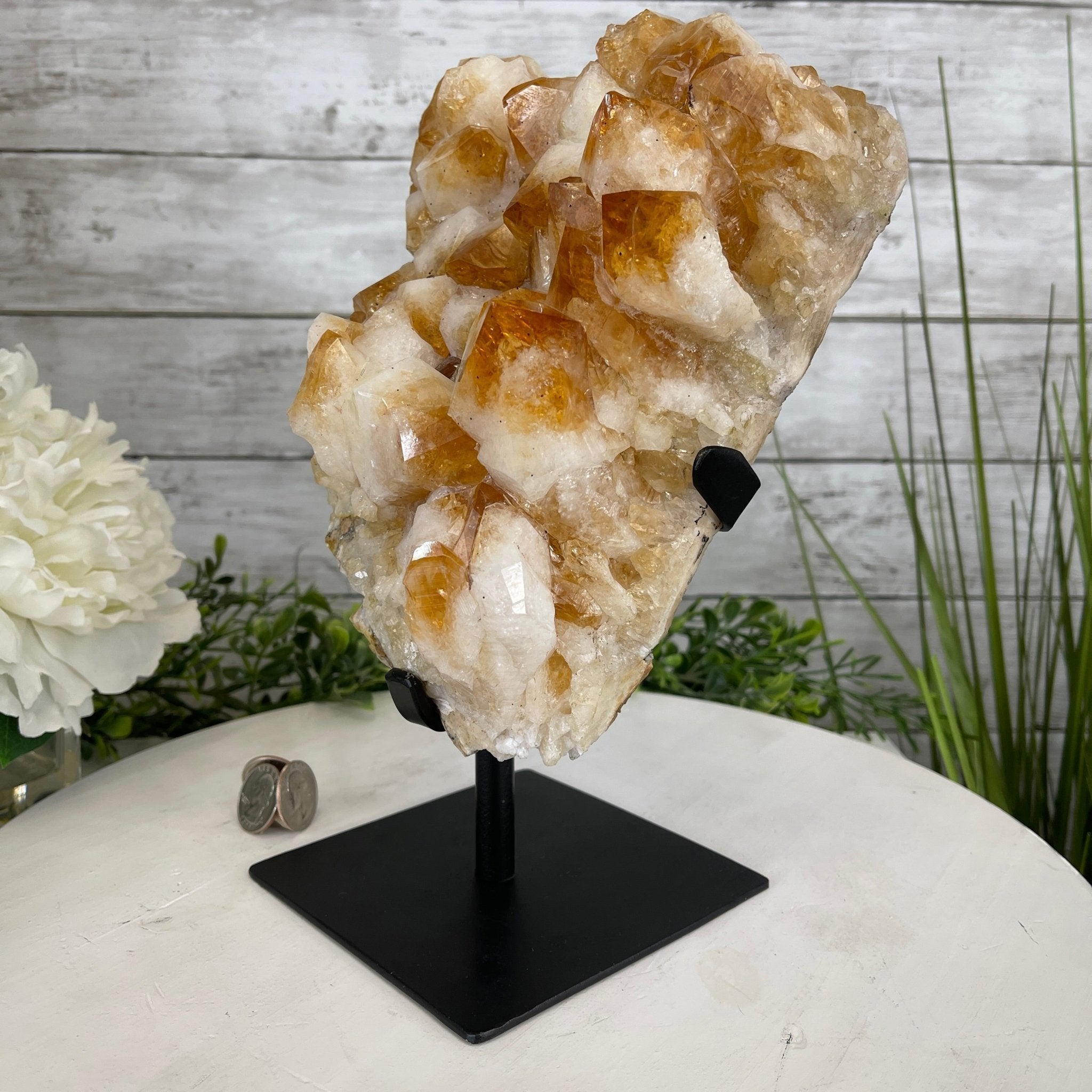 Brazilian Citrine Crystal Cluster, metal base, 9.3 lbs & 10.5" Tall Model #5496-0022 by Brazil Gems - Brazil GemsBrazil GemsBrazilian Citrine Crystal Cluster, metal base, 9.3 lbs & 10.5" Tall Model #5496-0022 by Brazil GemsClusters on Fixed Bases5496-0022