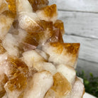 Brazilian Citrine Crystal Cluster, metal base, 9.3 lbs & 10.5" Tall Model #5496-0022 by Brazil Gems - Brazil GemsBrazil GemsBrazilian Citrine Crystal Cluster, metal base, 9.3 lbs & 10.5" Tall Model #5496-0022 by Brazil GemsClusters on Fixed Bases5496-0022