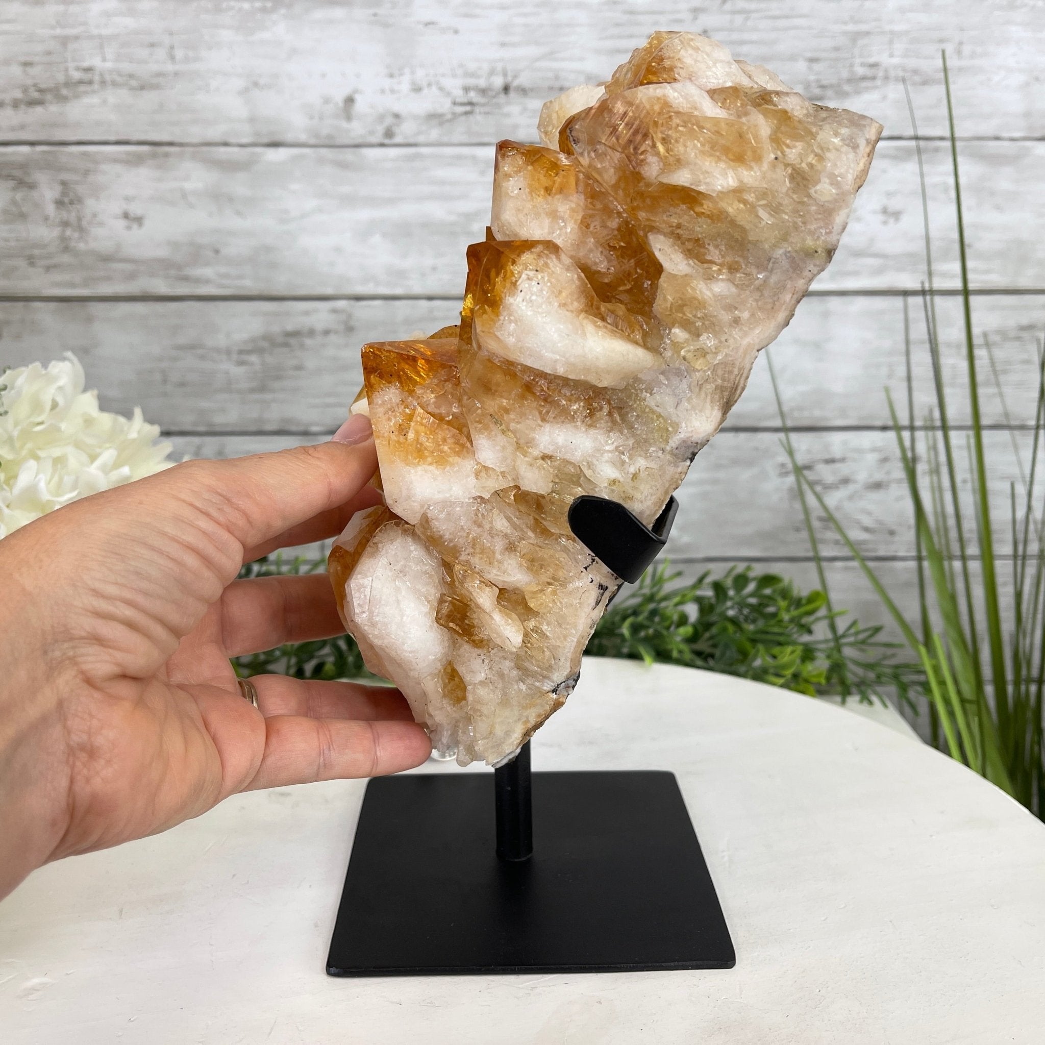 Brazilian Citrine Crystal Cluster, metal base, 9.3 lbs & 10.5" Tall Model #5496-0022 by Brazil Gems - Brazil GemsBrazil GemsBrazilian Citrine Crystal Cluster, metal base, 9.3 lbs & 10.5" Tall Model #5496-0022 by Brazil GemsClusters on Fixed Bases5496-0022