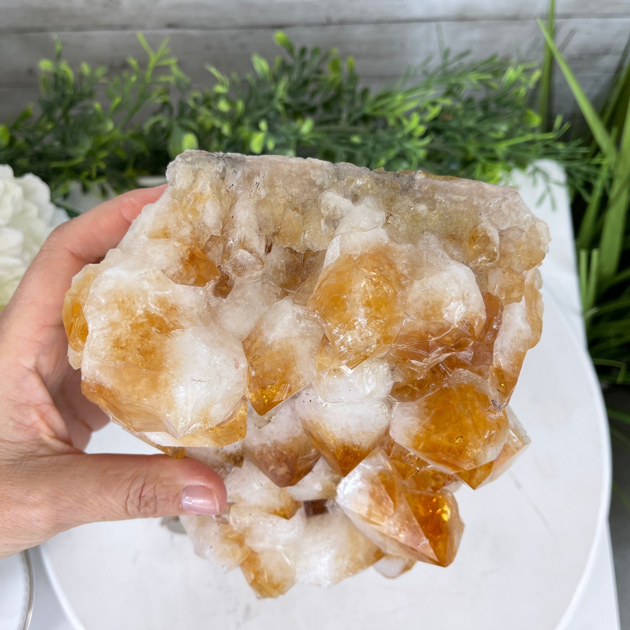 Brazilian Citrine Crystal Cluster, metal base, 9.3 lbs & 10.5" Tall Model #5496-0022 by Brazil Gems - Brazil GemsBrazil GemsBrazilian Citrine Crystal Cluster, metal base, 9.3 lbs & 10.5" Tall Model #5496-0022 by Brazil GemsClusters on Fixed Bases5496-0022