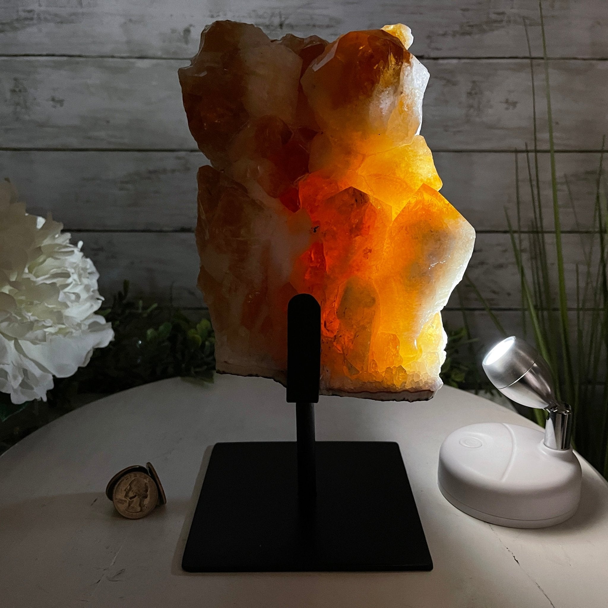 Brazilian Citrine Crystal Cluster, metal base, 9.5 lbs & 10" Tall Model #5496-0023 by Brazil Gems - Brazil GemsBrazil GemsBrazilian Citrine Crystal Cluster, metal base, 9.5 lbs & 10" Tall Model #5496-0023 by Brazil GemsClusters on Fixed Bases5496-0023
