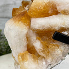 Brazilian Citrine Crystal Cluster, metal base, 9.5 lbs & 10" Tall Model #5496-0023 by Brazil Gems - Brazil GemsBrazil GemsBrazilian Citrine Crystal Cluster, metal base, 9.5 lbs & 10" Tall Model #5496-0023 by Brazil GemsClusters on Fixed Bases5496-0023