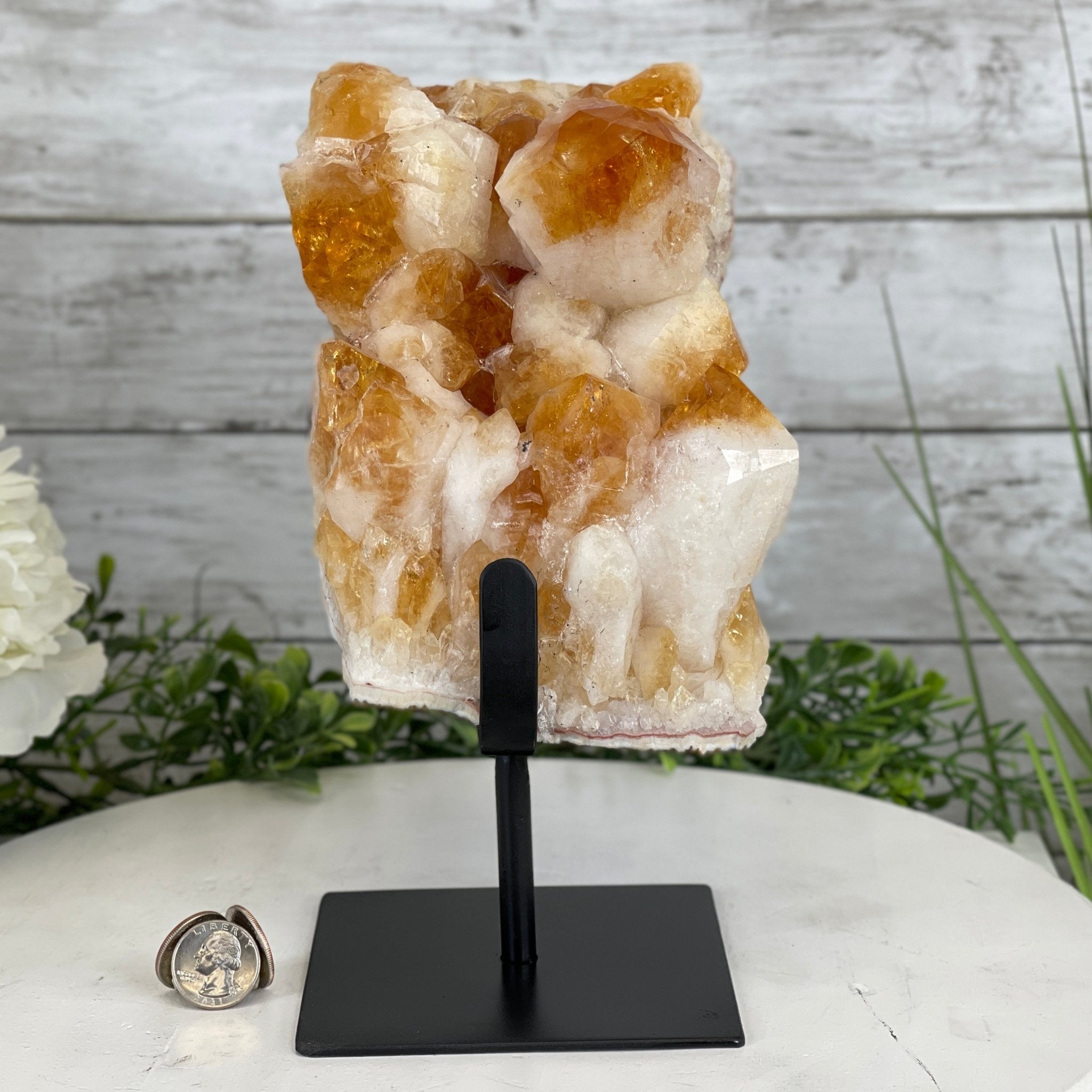 Brazilian Citrine Crystal Cluster, metal base, 9.5 lbs & 10" Tall Model #5496-0023 by Brazil Gems - Brazil GemsBrazil GemsBrazilian Citrine Crystal Cluster, metal base, 9.5 lbs & 10" Tall Model #5496-0023 by Brazil GemsClusters on Fixed Bases5496-0023