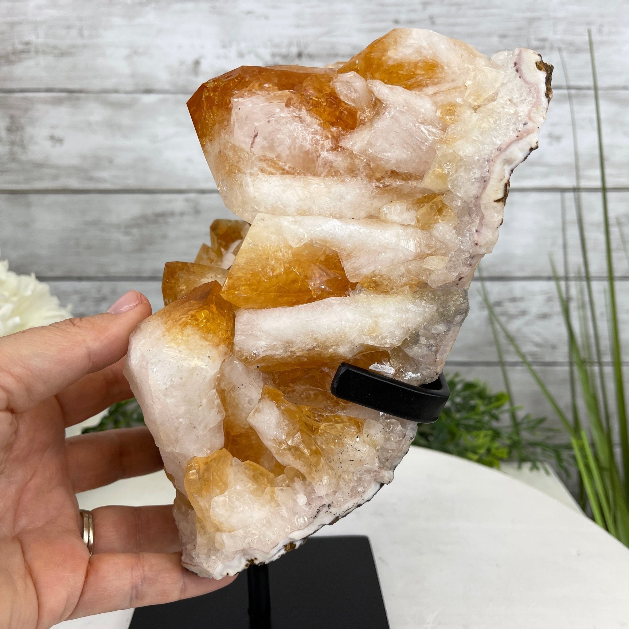 Brazilian Citrine Crystal Cluster, metal base, 9.5 lbs & 10" Tall Model #5496-0023 by Brazil Gems - Brazil GemsBrazil GemsBrazilian Citrine Crystal Cluster, metal base, 9.5 lbs & 10" Tall Model #5496-0023 by Brazil GemsClusters on Fixed Bases5496-0023