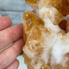 Brazilian Citrine Crystal Cluster, metal base, 9.5 lbs & 10" Tall Model #5496-0023 by Brazil Gems - Brazil GemsBrazil GemsBrazilian Citrine Crystal Cluster, metal base, 9.5 lbs & 10" Tall Model #5496-0023 by Brazil GemsClusters on Fixed Bases5496-0023