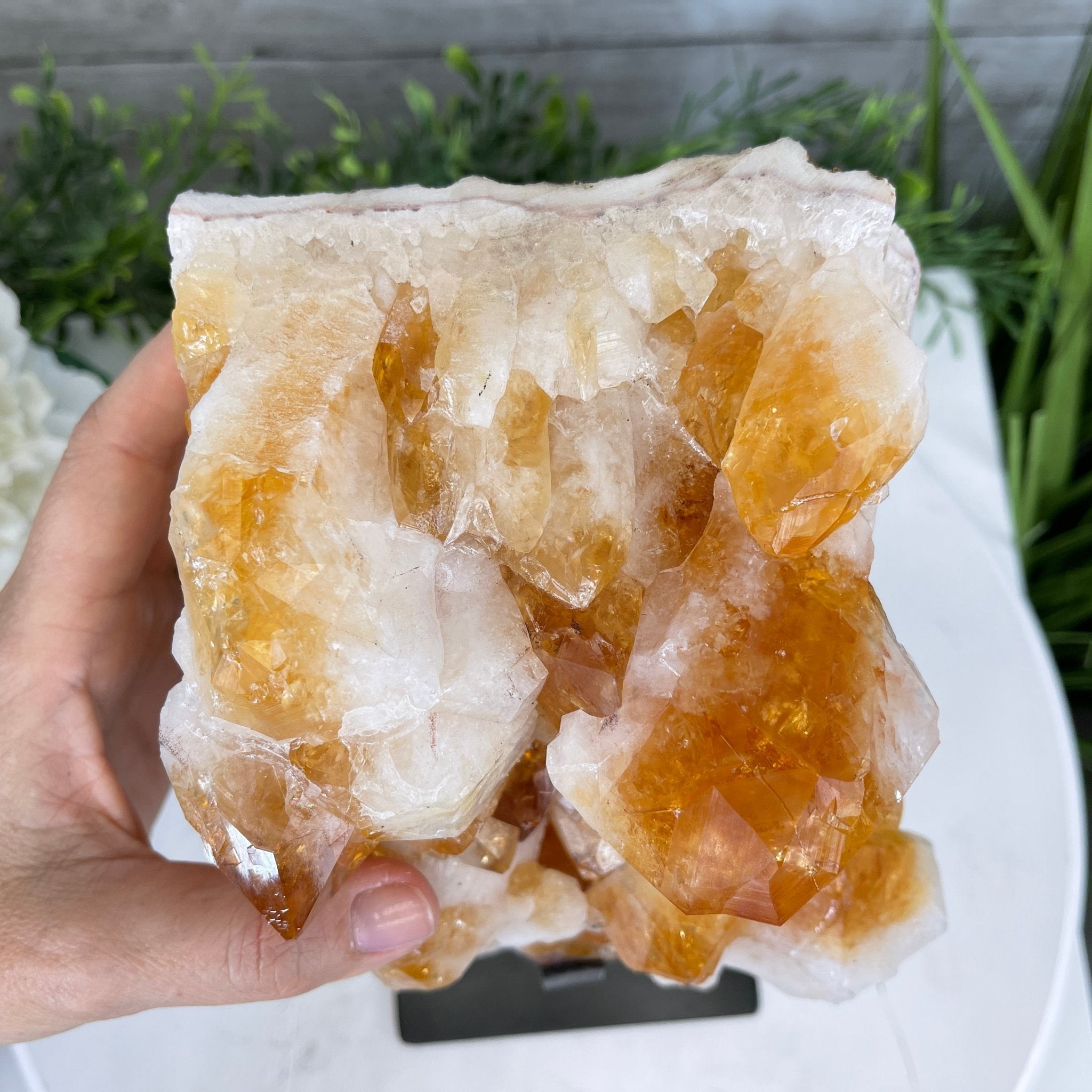 Brazilian Citrine Crystal Cluster, metal base, 9.5 lbs & 10" Tall Model #5496-0023 by Brazil Gems - Brazil GemsBrazil GemsBrazilian Citrine Crystal Cluster, metal base, 9.5 lbs & 10" Tall Model #5496-0023 by Brazil GemsClusters on Fixed Bases5496-0023