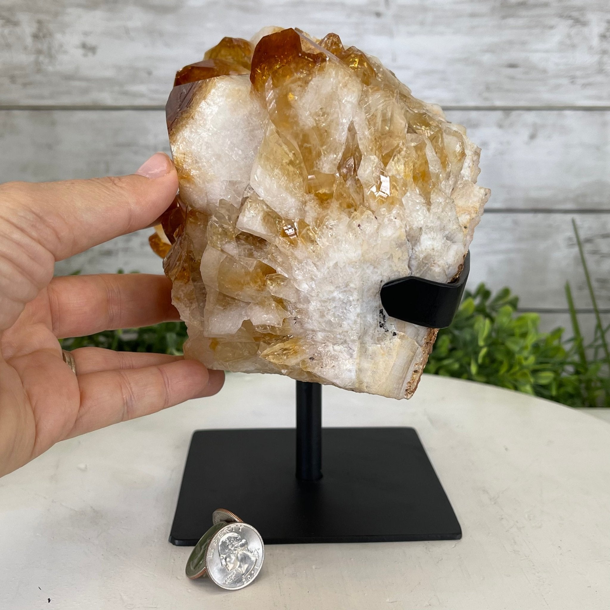 Brazilian Citrine Crystal Cluster, metal base, 9.9 lbs & 8" Tall Model #5496-0027 by Brazil Gems - Brazil GemsBrazil GemsBrazilian Citrine Crystal Cluster, metal base, 9.9 lbs & 8" Tall Model #5496-0027 by Brazil GemsClusters on Fixed Bases5496-0027