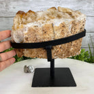 Brazilian Citrine Crystal Cluster, metal base, 9.9 lbs & 8" Tall Model #5496-0027 by Brazil Gems - Brazil GemsBrazil GemsBrazilian Citrine Crystal Cluster, metal base, 9.9 lbs & 8" Tall Model #5496-0027 by Brazil GemsClusters on Fixed Bases5496-0027