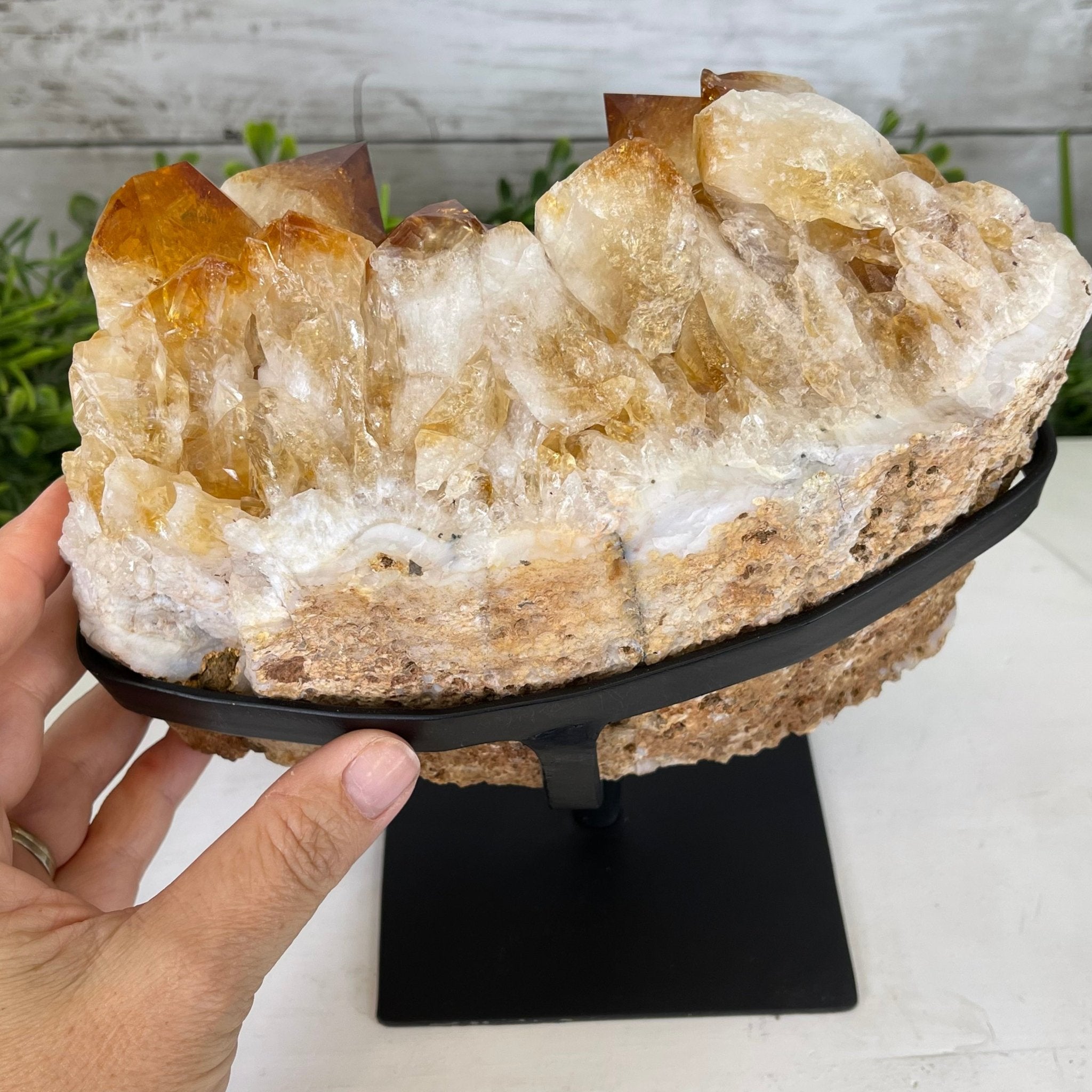 Brazilian Citrine Crystal Cluster, metal base, 9.9 lbs & 8" Tall Model #5496-0027 by Brazil Gems - Brazil GemsBrazil GemsBrazilian Citrine Crystal Cluster, metal base, 9.9 lbs & 8" Tall Model #5496-0027 by Brazil GemsClusters on Fixed Bases5496-0027