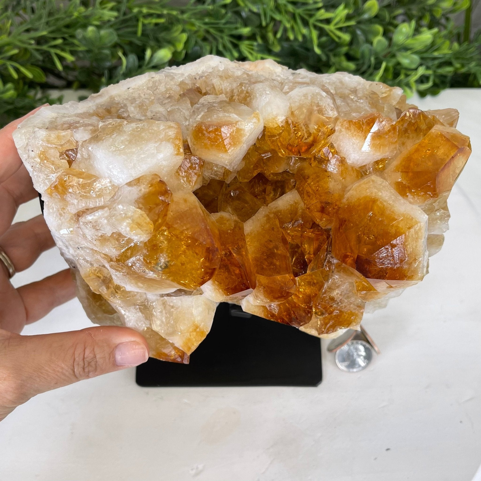 Brazilian Citrine Crystal Cluster, metal base, 9.9 lbs & 8" Tall Model #5496-0027 by Brazil Gems - Brazil GemsBrazil GemsBrazilian Citrine Crystal Cluster, metal base, 9.9 lbs & 8" Tall Model #5496-0027 by Brazil GemsClusters on Fixed Bases5496-0027
