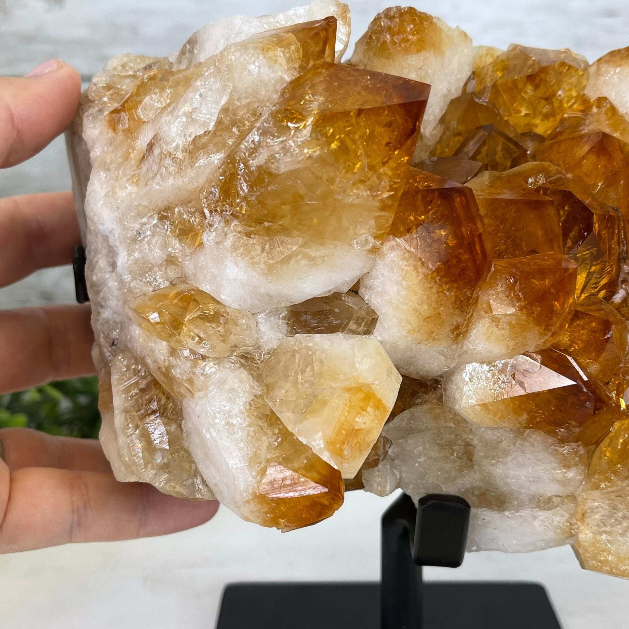 Brazilian Citrine Crystal Cluster, metal base, 9.9 lbs & 8" Tall Model #5496-0027 by Brazil Gems - Brazil GemsBrazil GemsBrazilian Citrine Crystal Cluster, metal base, 9.9 lbs & 8" Tall Model #5496-0027 by Brazil GemsClusters on Fixed Bases5496-0027
