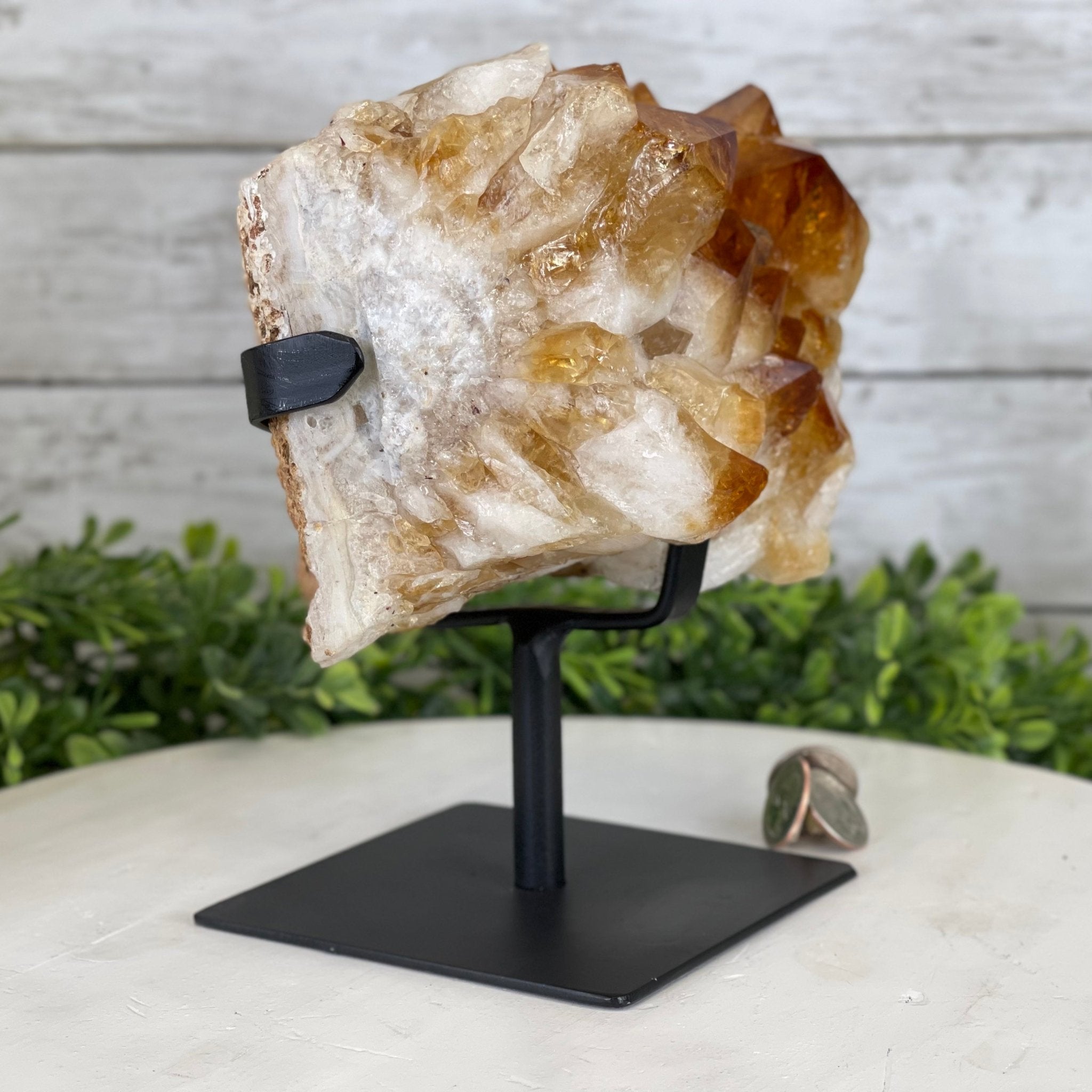 Brazilian Citrine Crystal Cluster, metal base, 9.9 lbs & 8" Tall Model #5496-0027 by Brazil Gems - Brazil GemsBrazil GemsBrazilian Citrine Crystal Cluster, metal base, 9.9 lbs & 8" Tall Model #5496-0027 by Brazil GemsClusters on Fixed Bases5496-0027