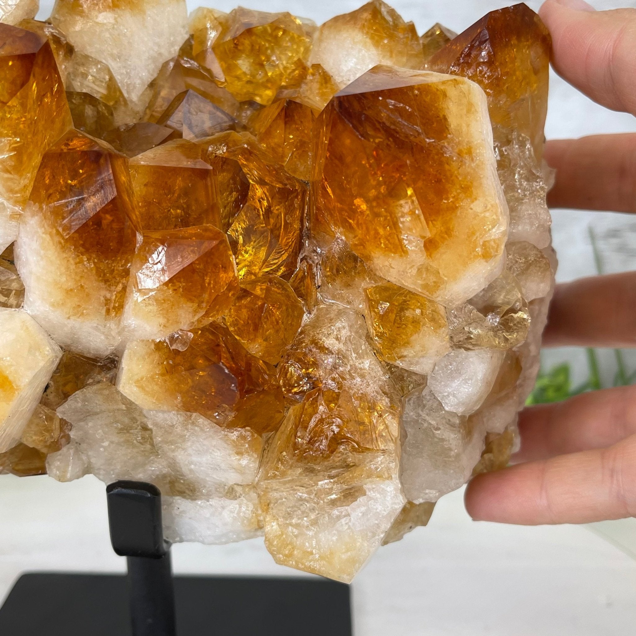 Brazilian Citrine Crystal Cluster, metal base, 9.9 lbs & 8" Tall Model #5496-0027 by Brazil Gems - Brazil GemsBrazil GemsBrazilian Citrine Crystal Cluster, metal base, 9.9 lbs & 8" Tall Model #5496-0027 by Brazil GemsClusters on Fixed Bases5496-0027