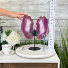 Brazilian Pink Agate "Butterfly Wings", Dyed Pink, 12.8" Tall #5050PA-069 by Brazil Gems - Brazil GemsBrazil GemsBrazilian Pink Agate "Butterfly Wings", Dyed Pink, 12.8" Tall #5050PA-069 by Brazil GemsAgate Butterfly Wings5050PA-069