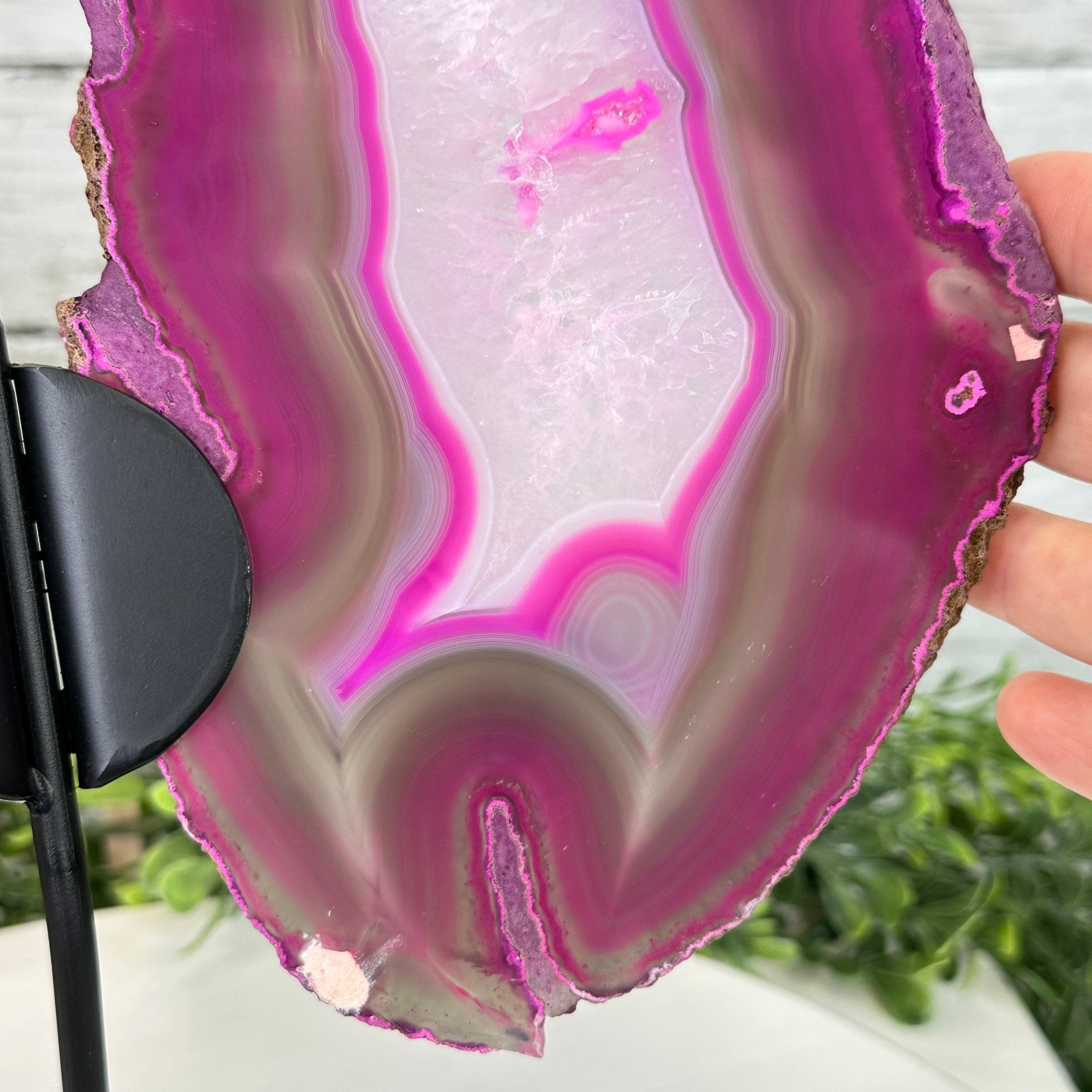 Brazilian Pink Agate "Butterfly Wings", Dyed Pink, 12.8" Tall #5050PA-069 by Brazil Gems - Brazil GemsBrazil GemsBrazilian Pink Agate "Butterfly Wings", Dyed Pink, 12.8" Tall #5050PA-069 by Brazil GemsAgate Butterfly Wings5050PA-069