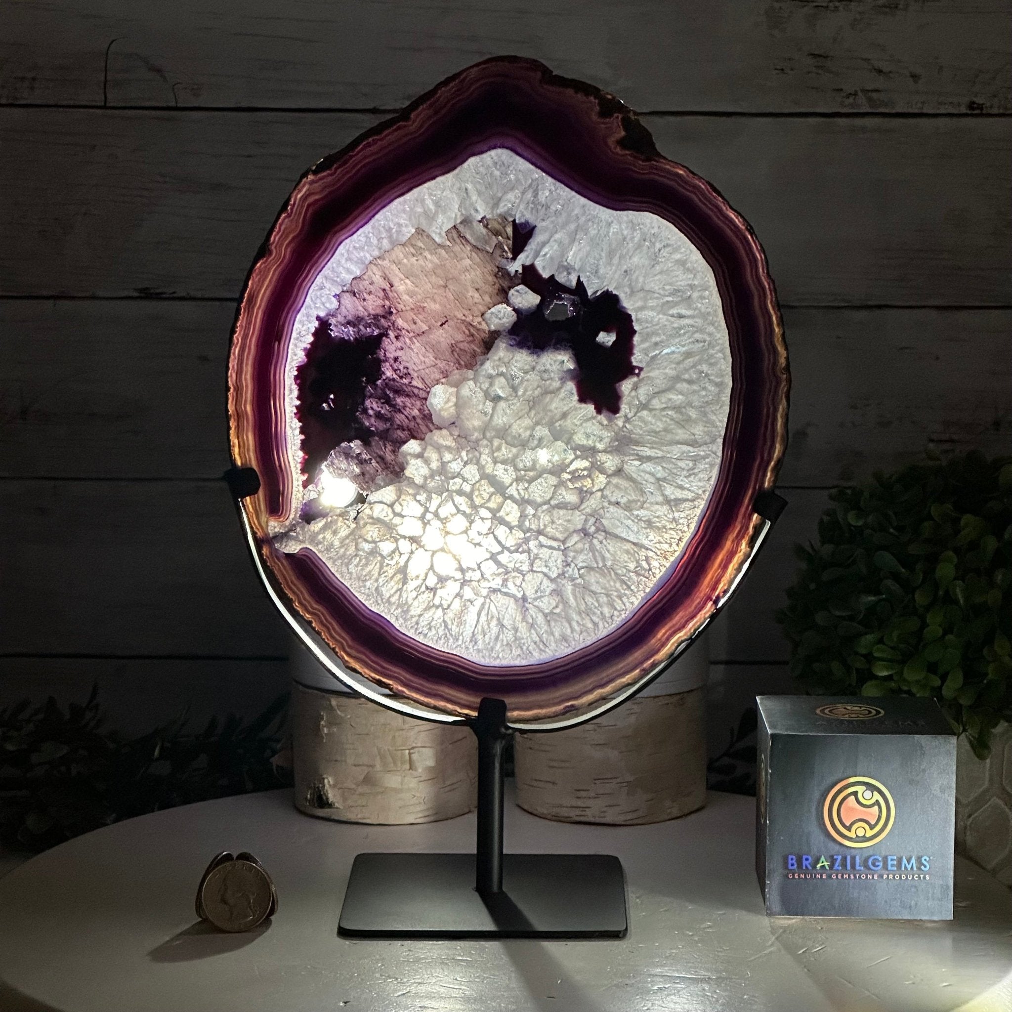 Brazilian Purple Agate Slice on Metal Base, 11.7" Tall #5065PU-047 - Brazil GemsBrazil GemsBrazilian Purple Agate Slice on Metal Base, 11.7" Tall #5065PU-047Slices on Fixed Bases5065PU-047